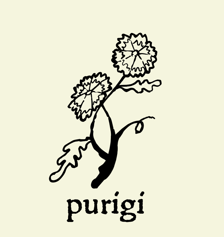 Branding & Identity