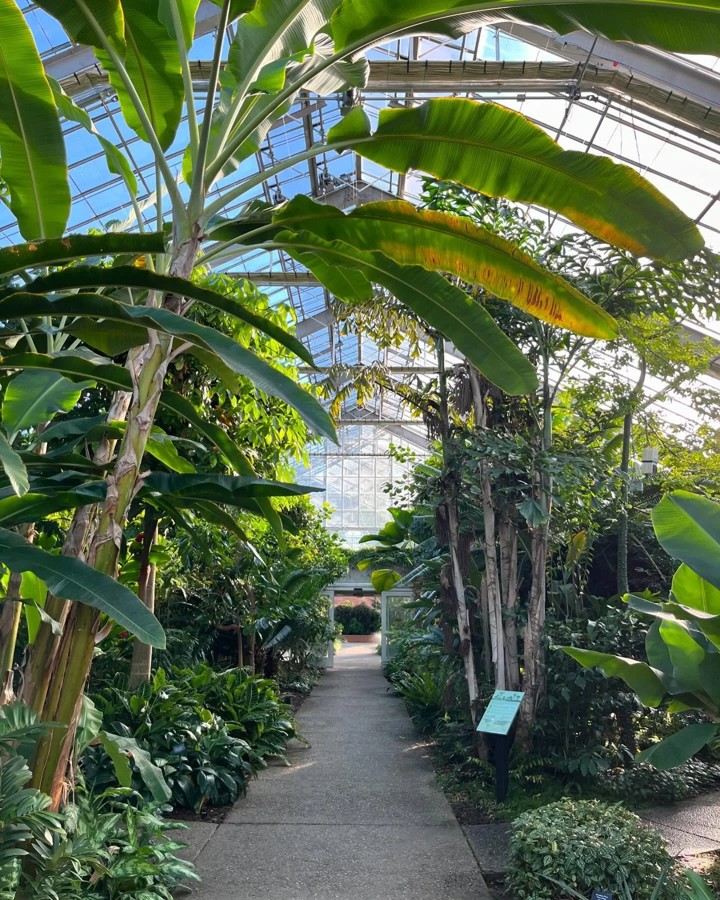 Slowing down to behold beauty. The satisfying crunch of walking on the gravel of the gardens. The smell of a ylang ylang plant. The sights of a prickly cactus. The sunlight blinding momentarily. The peaceful drip of the fountain. The awe of the child