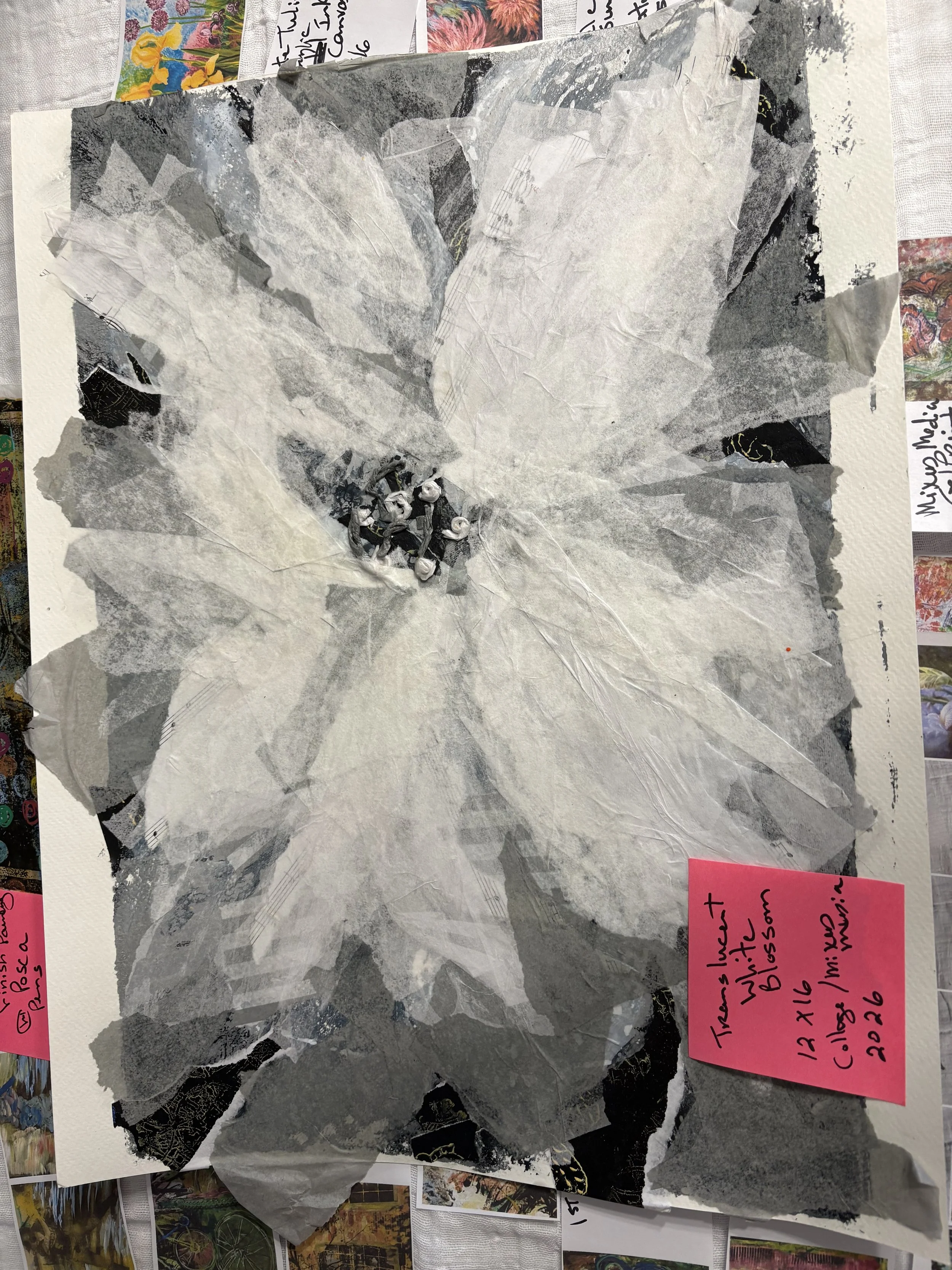 IMG_1088 (1).jpeg