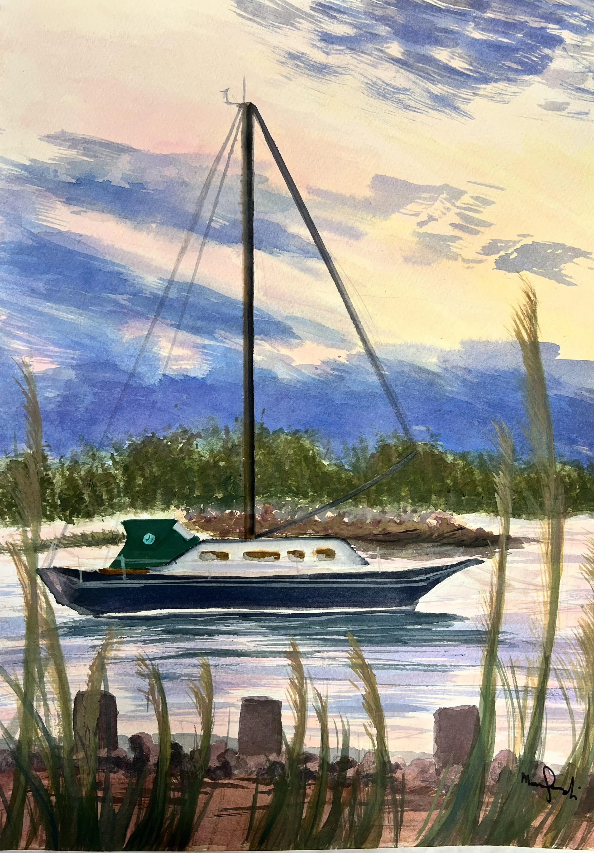 Watercolor painting of a boat with a green cabin, black hull, and tall mast, floating on a calm body of water with a sunset sky in the background. Tall grasses and rocks line the foreground.