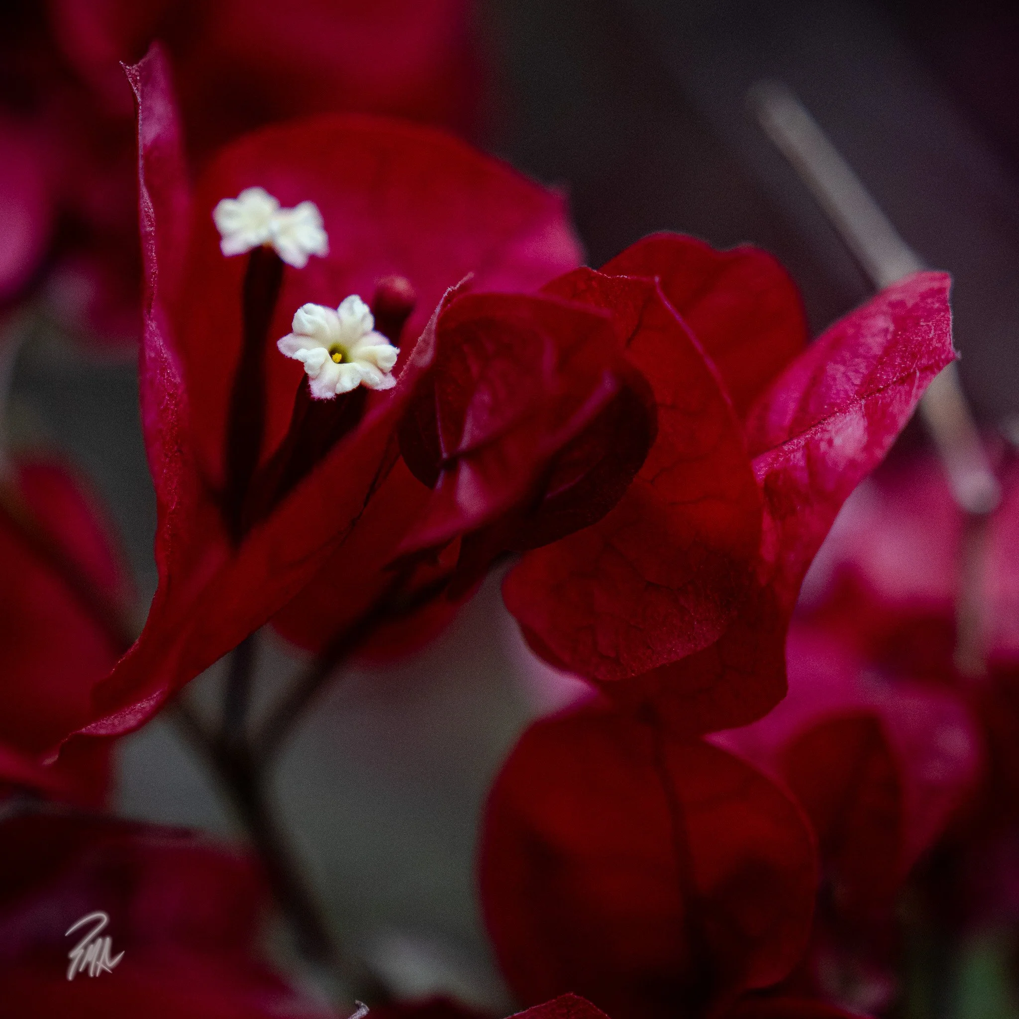A7R01014.jpg
