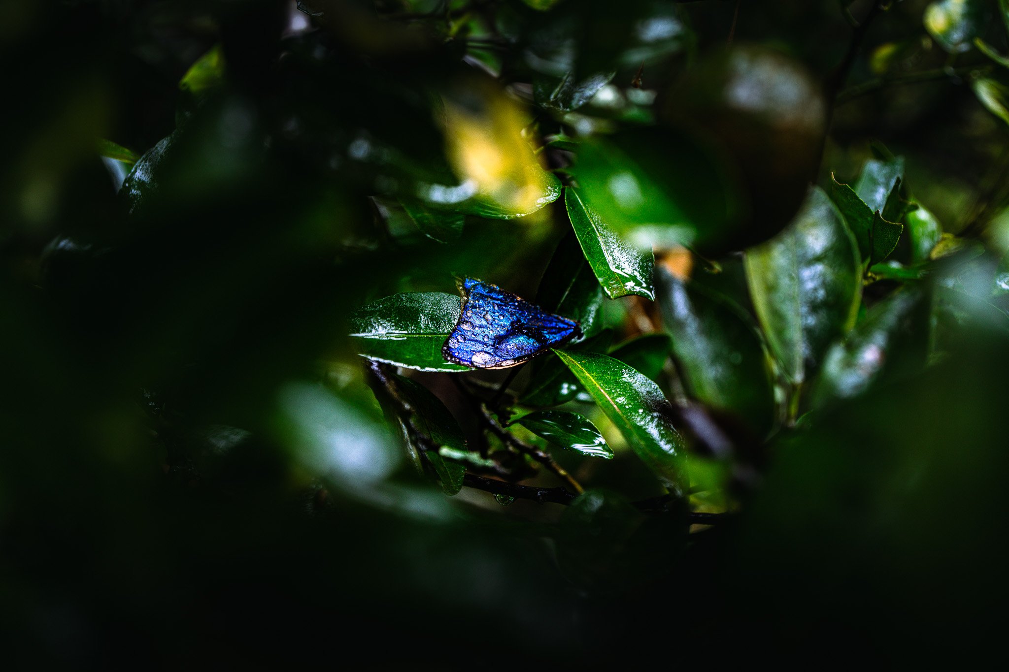 A7R09840.jpg