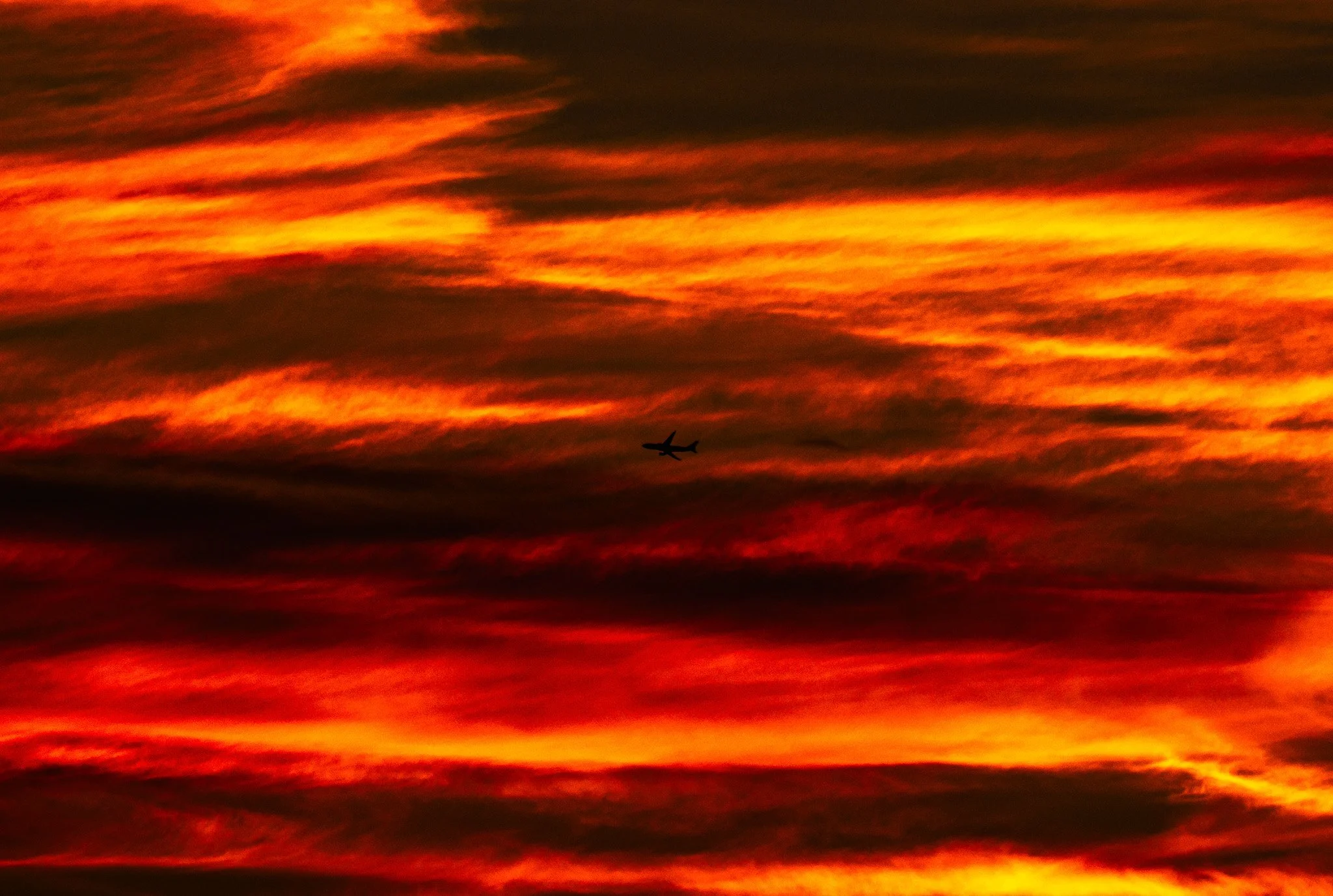 A7R07103-2.jpg