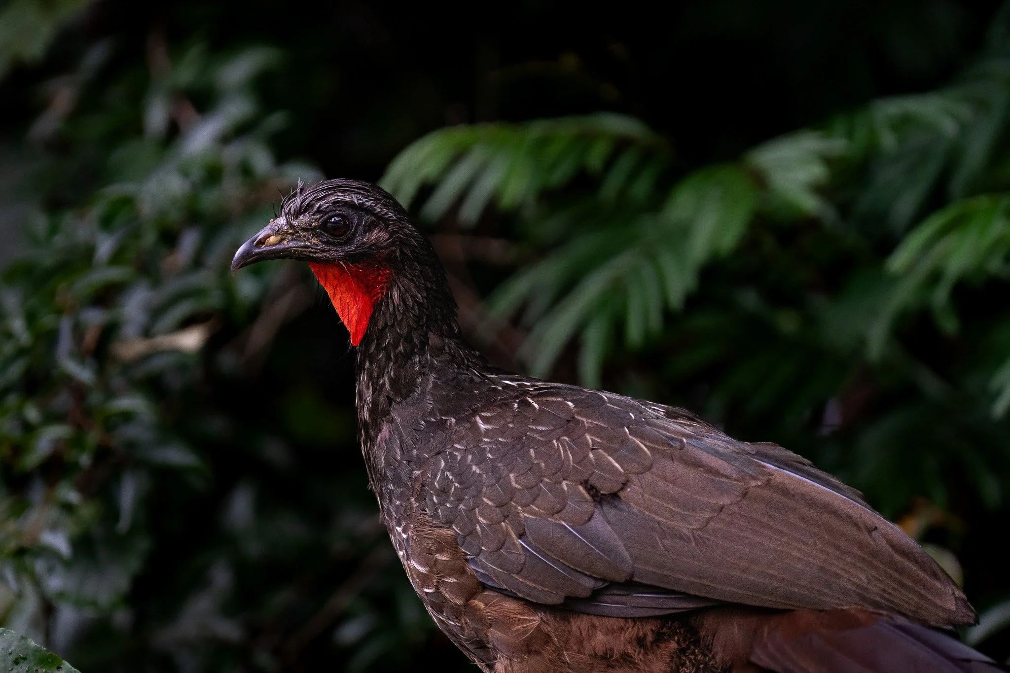 A7R08396.jpg