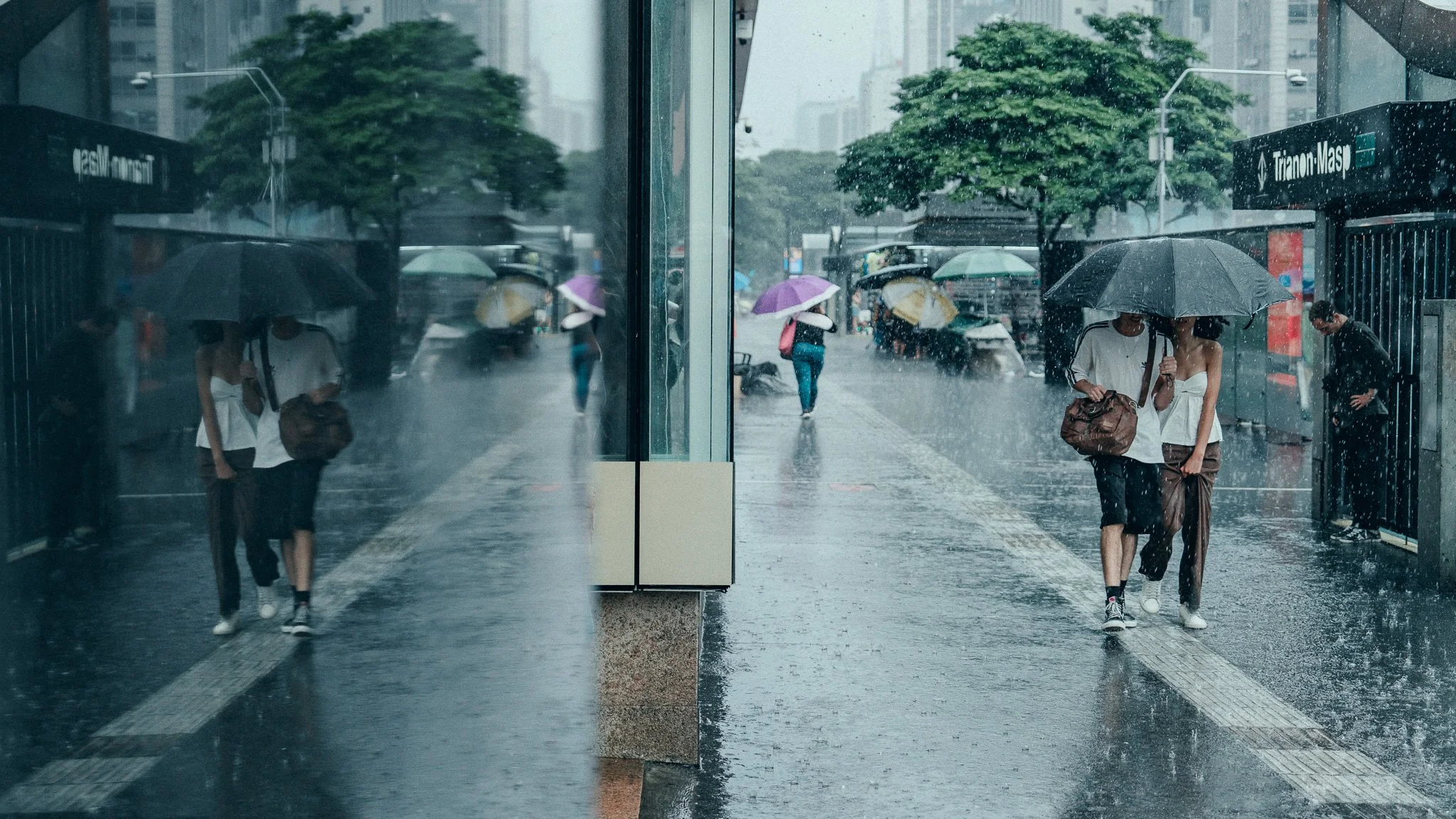 A7R05056.jpg