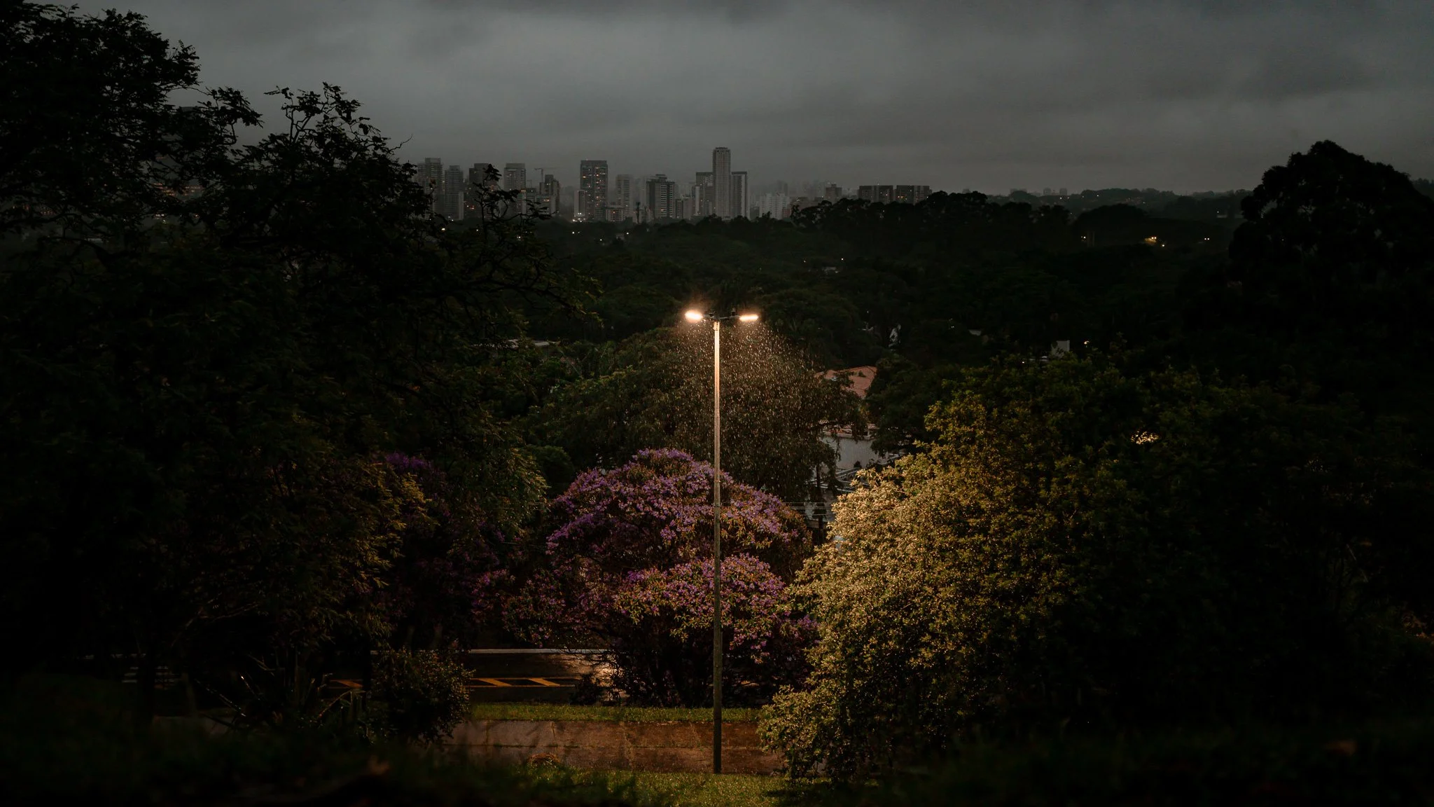 A7R00024.jpg