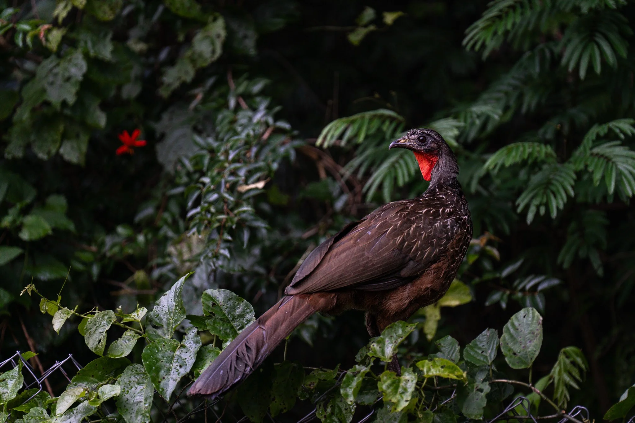 A7R08359.jpg
