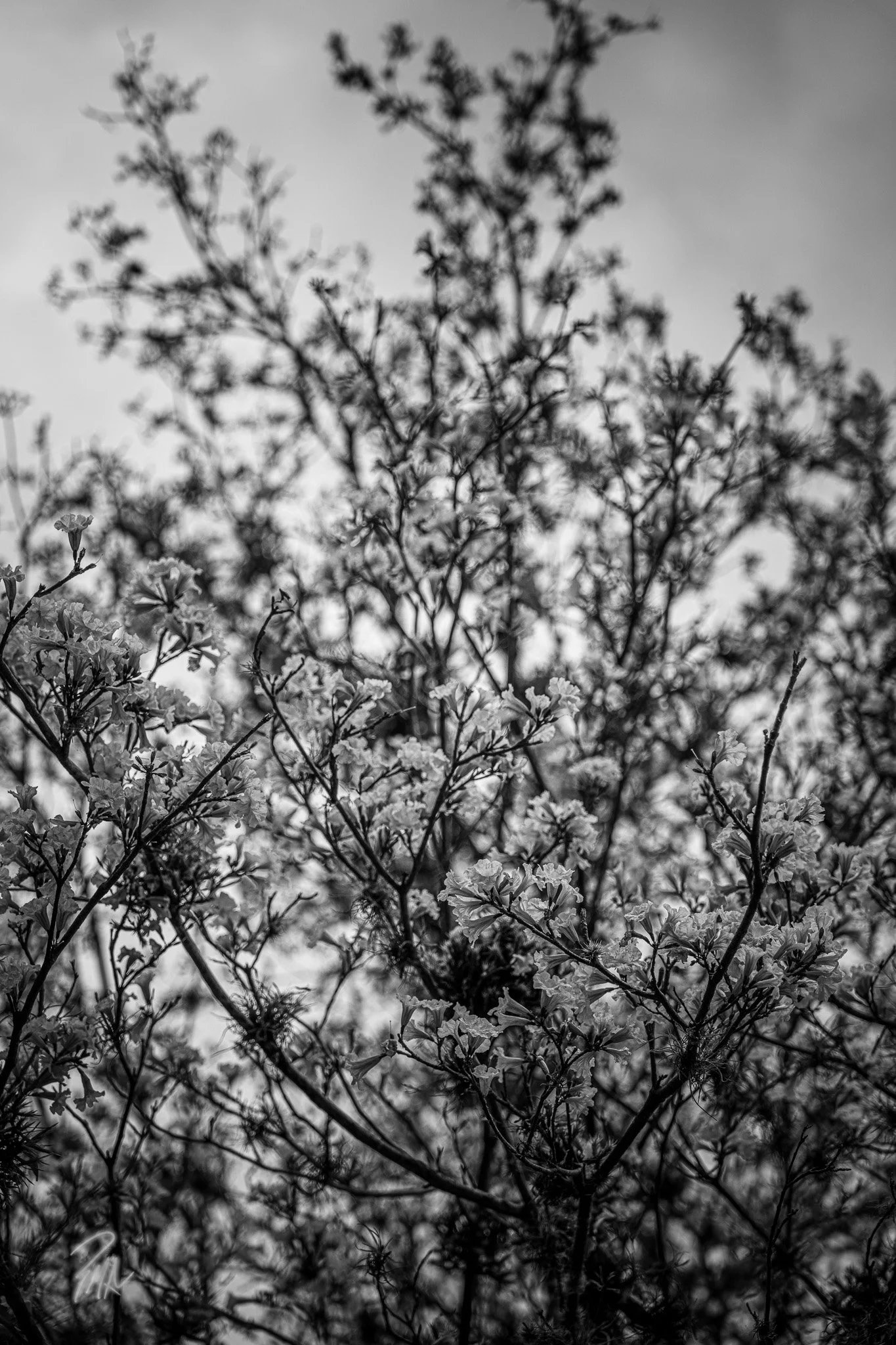 A7R01010.jpg