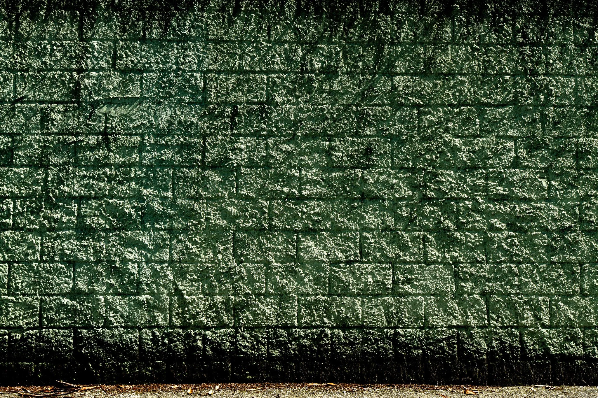 A7R02714.jpg