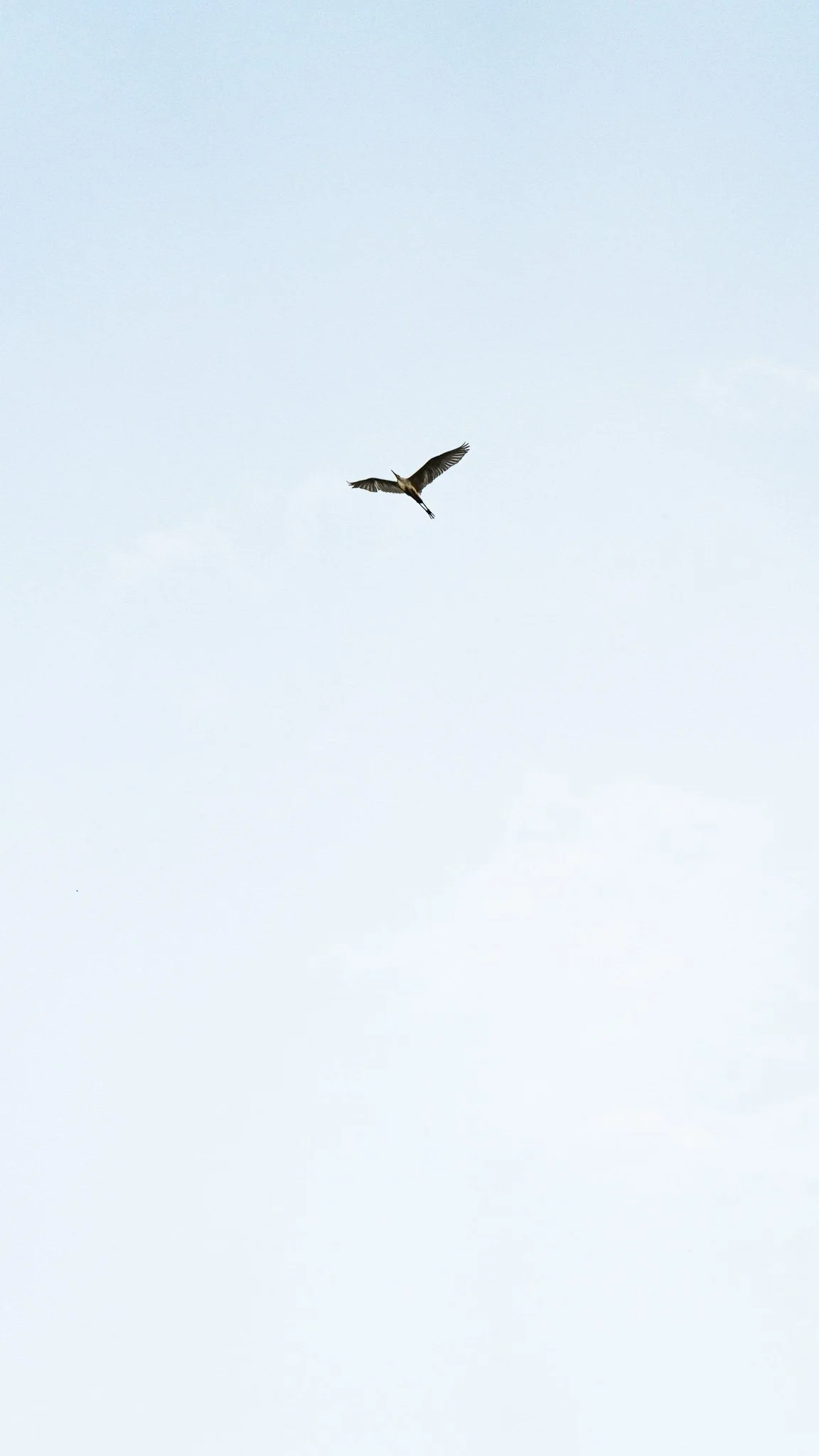 A7R05104.jpg