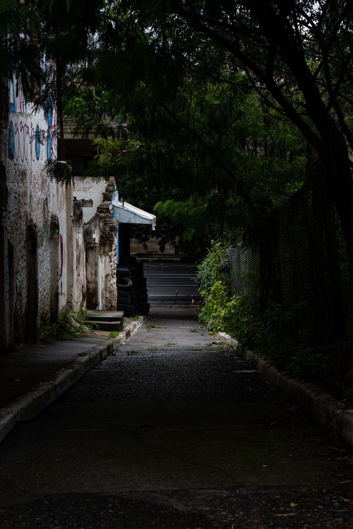 A7R03705.jpg