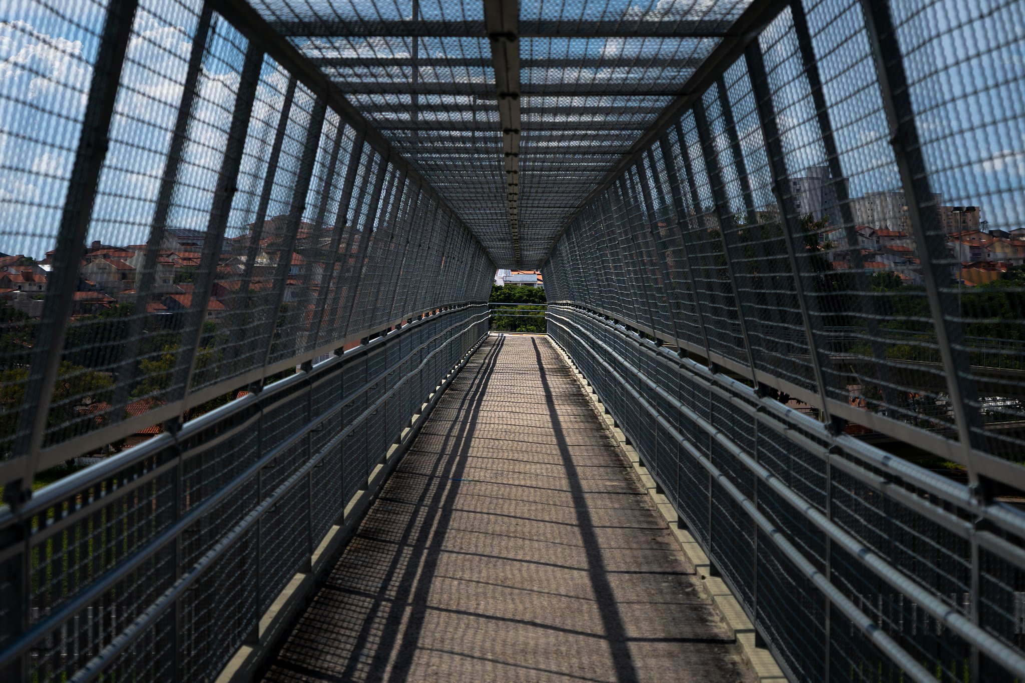 A7R08326.jpg