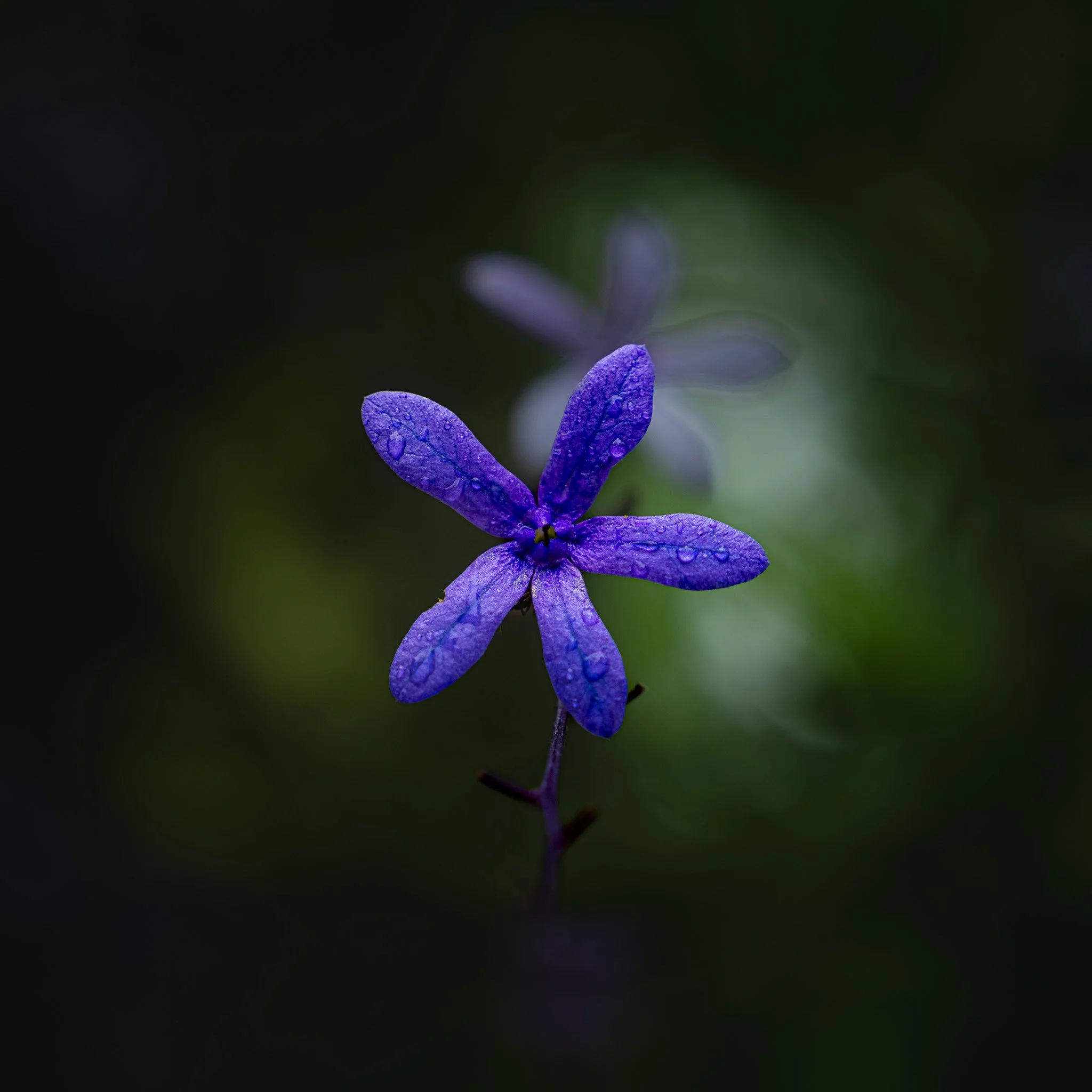 A7R00379.jpg