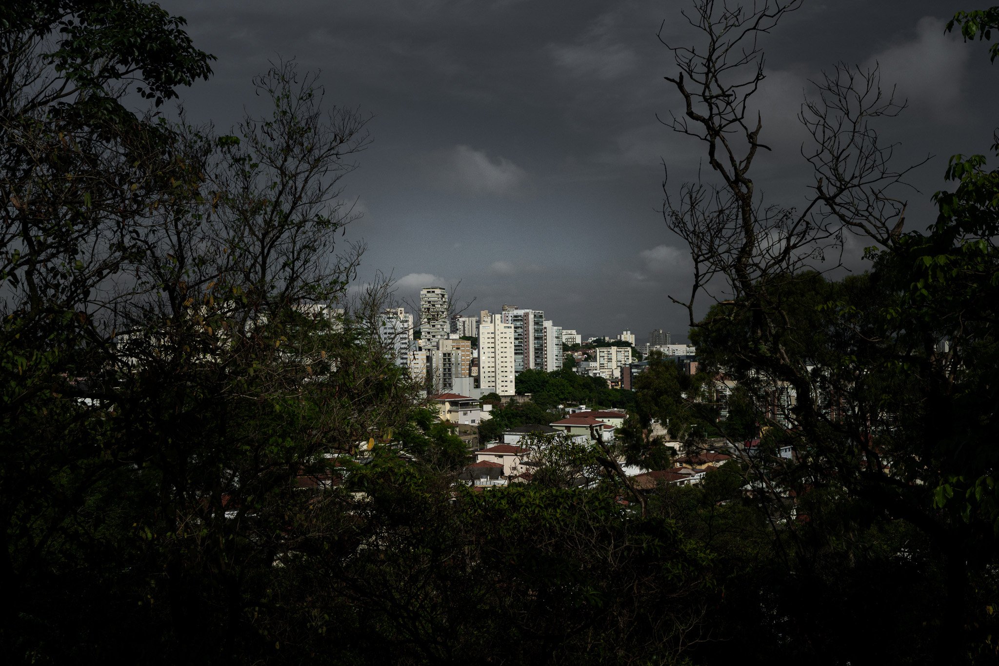 A7R02618.jpg