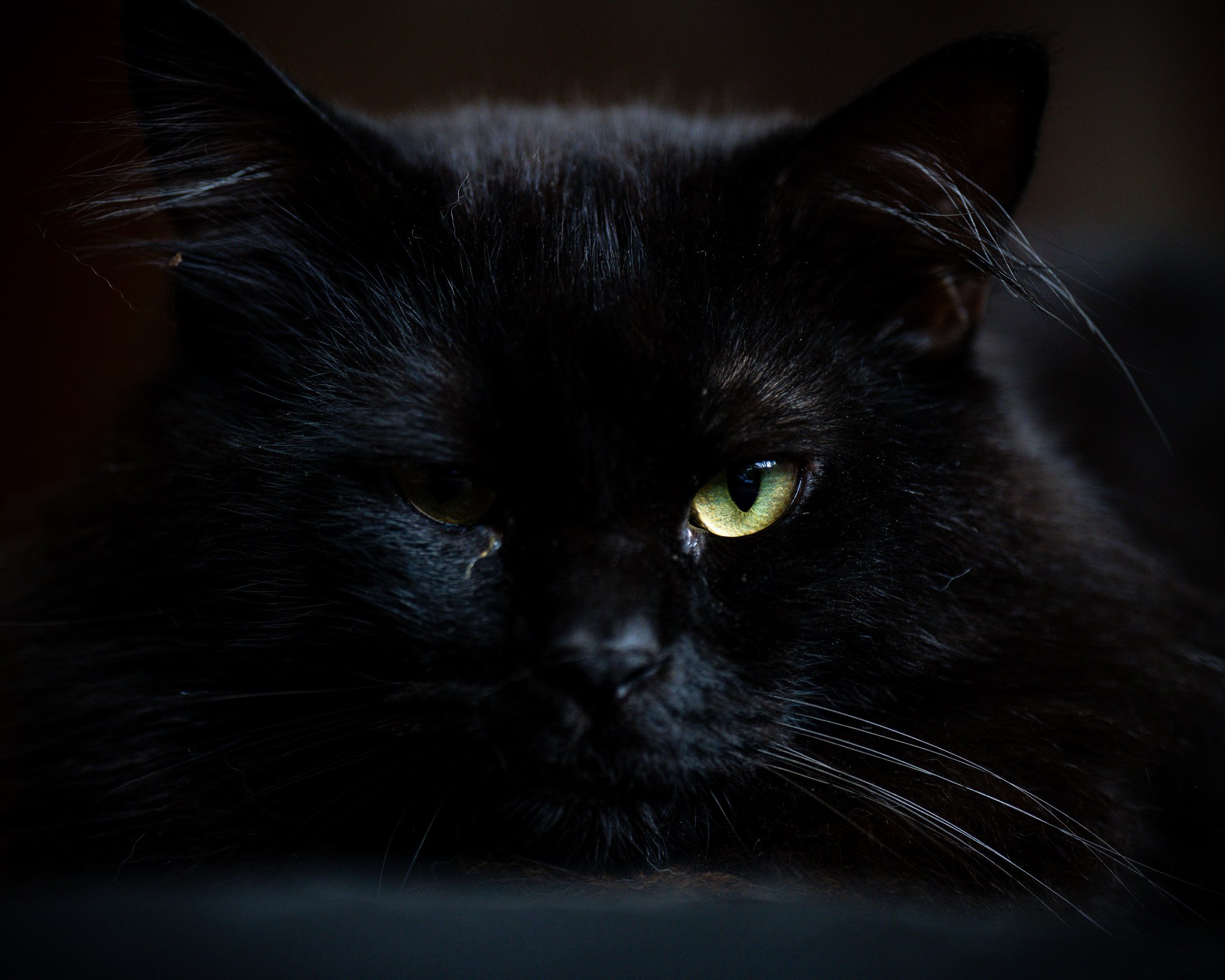 A7R03100.jpg