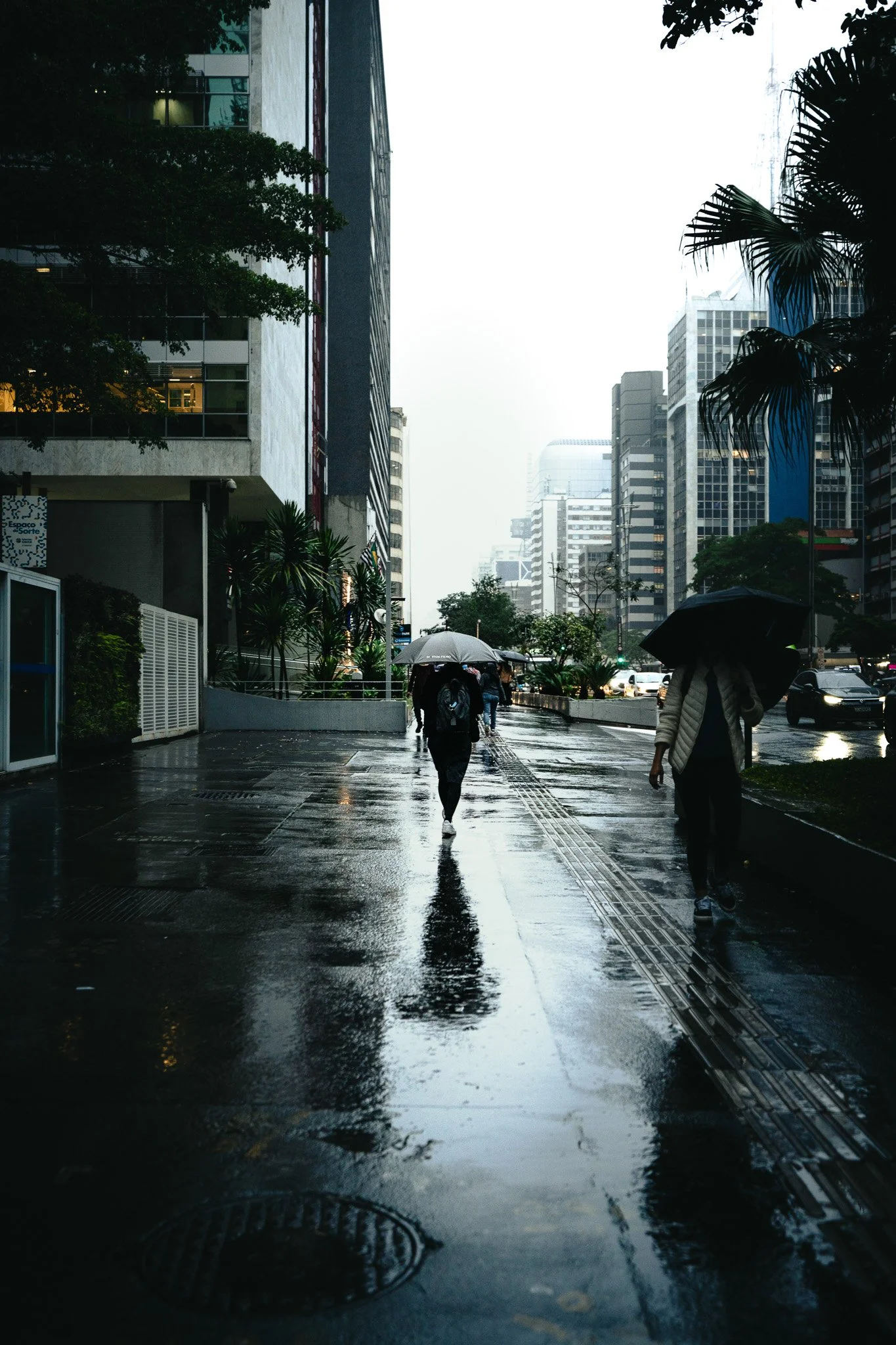 A7R06438.jpg