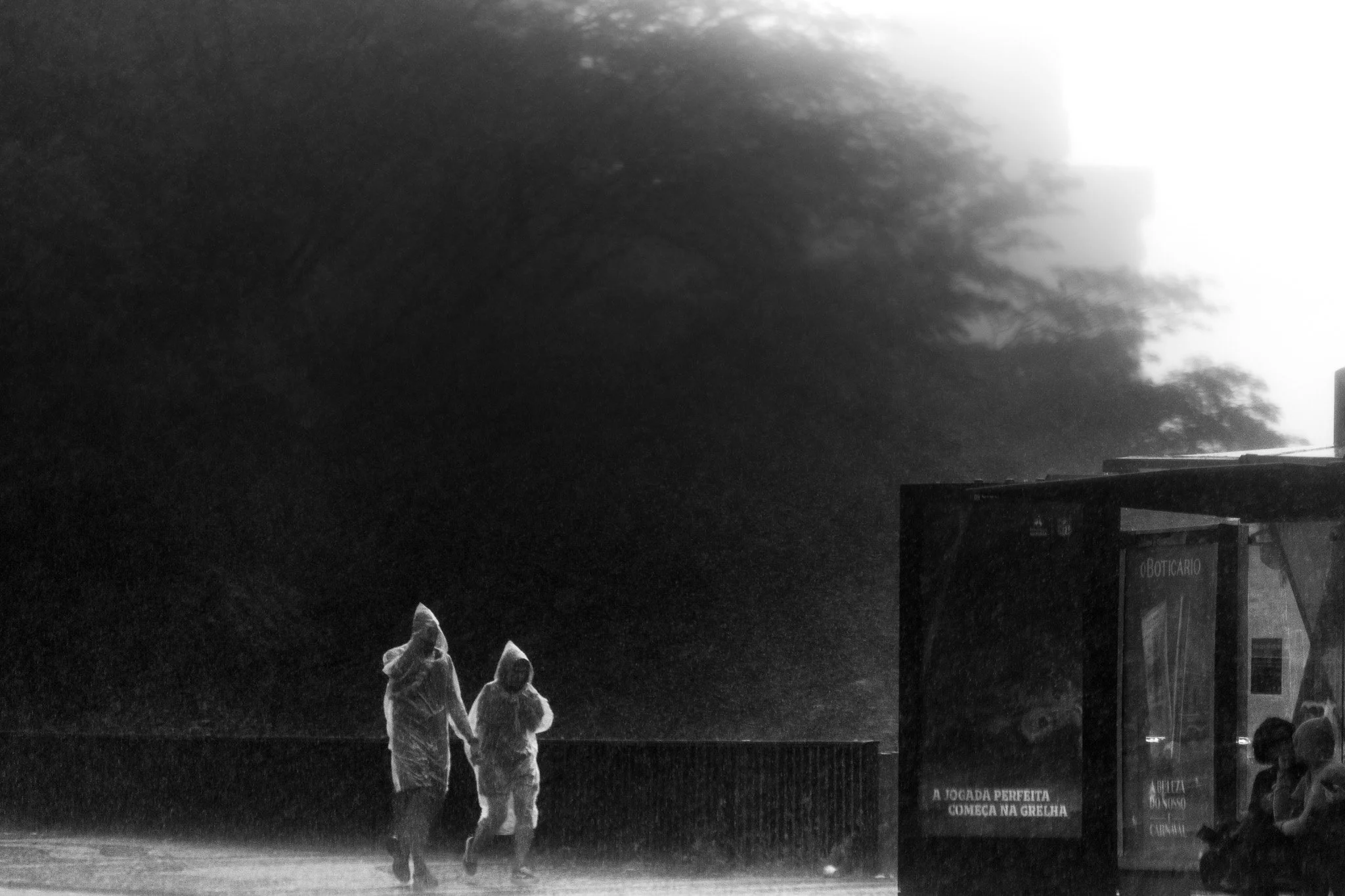 A7R09452.jpg