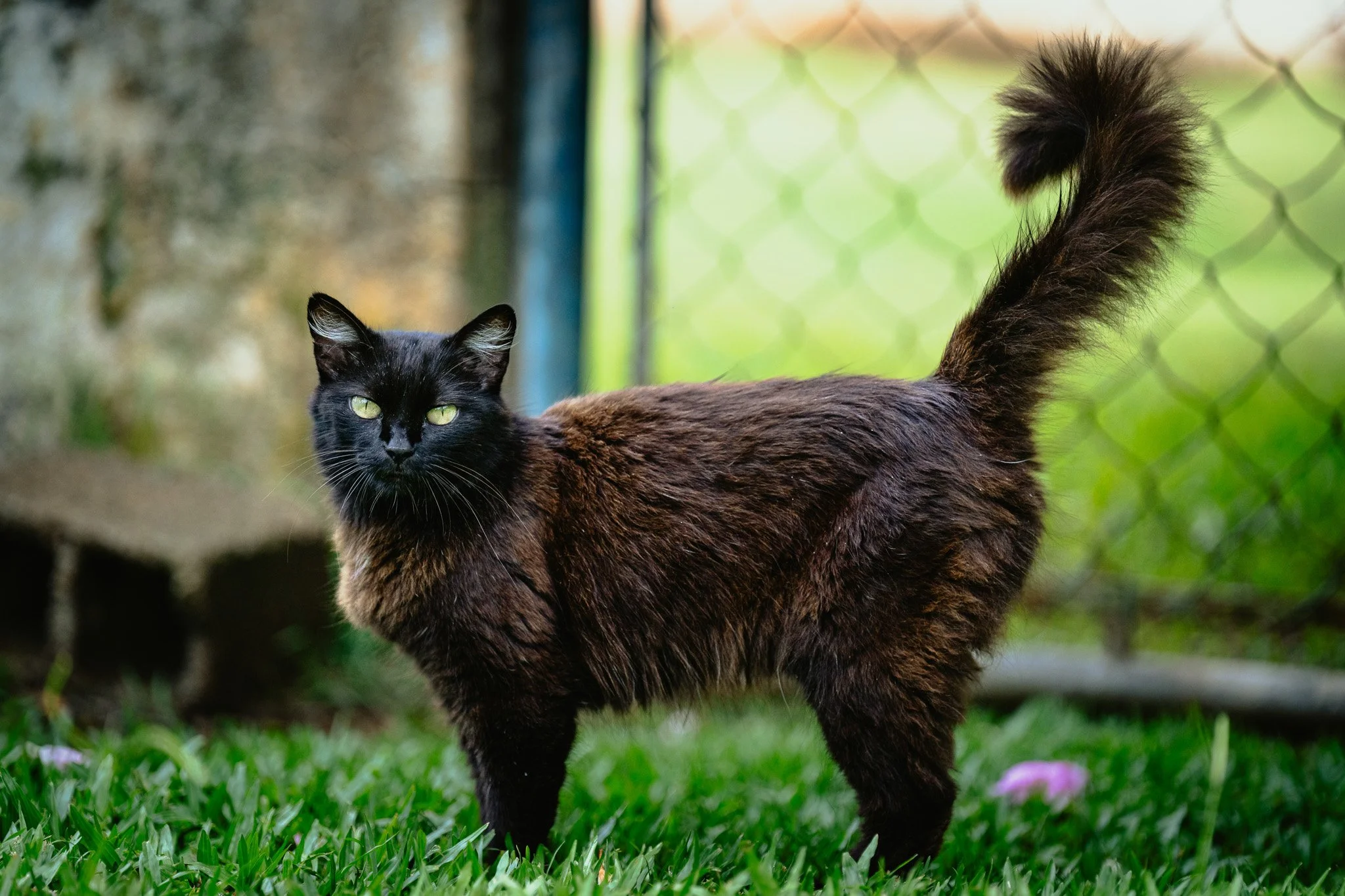 A7R08150.jpg