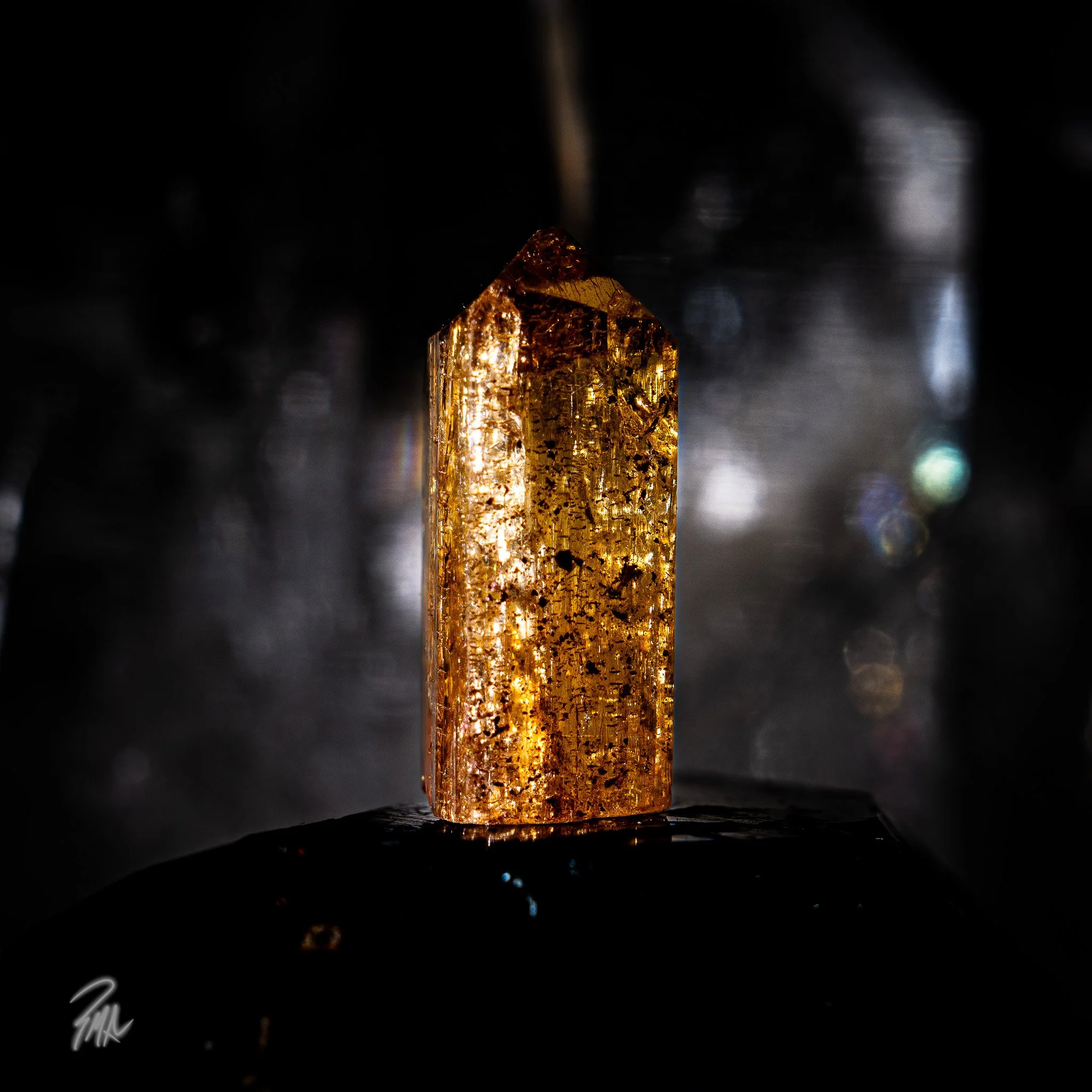 A7R00483-2.jpg