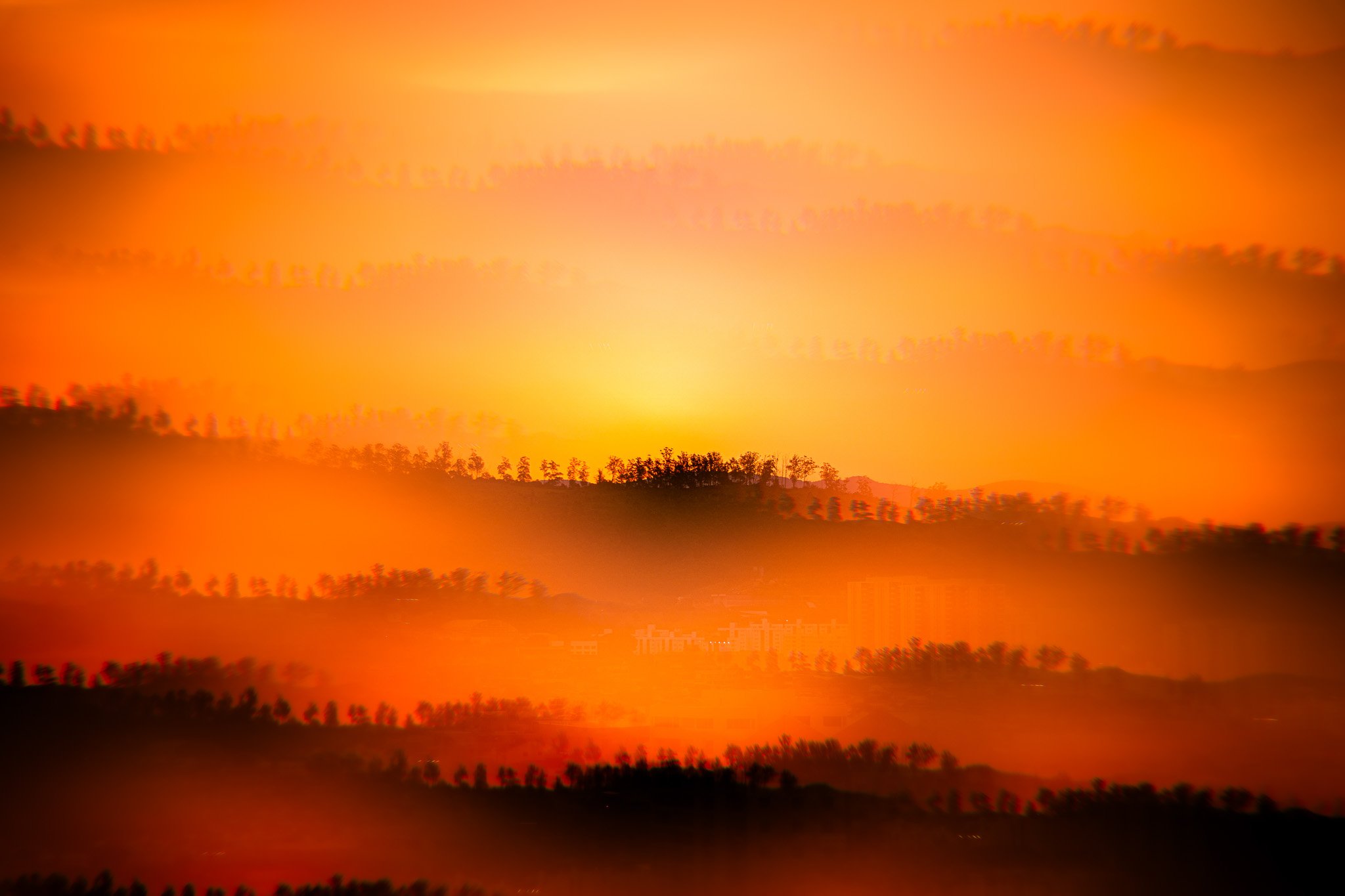 A7R05482.jpg