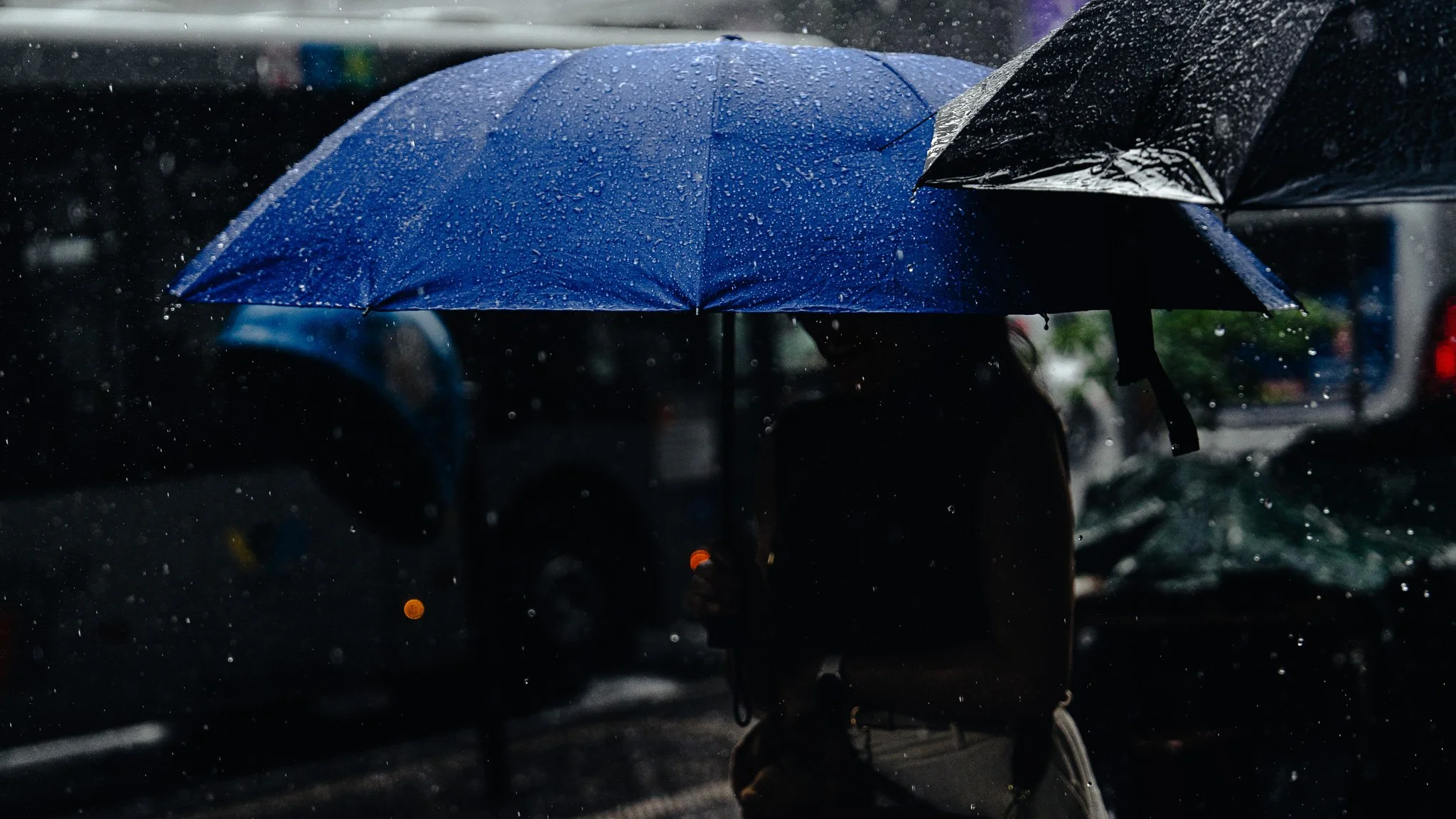 A7R05198.jpg