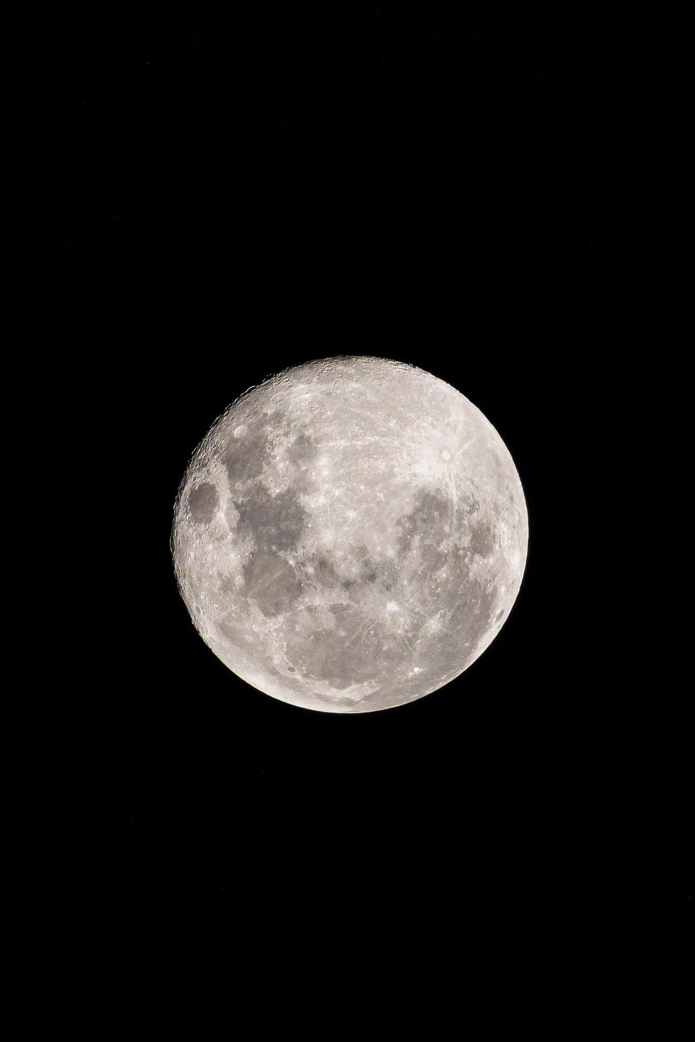 A7R08786.jpg