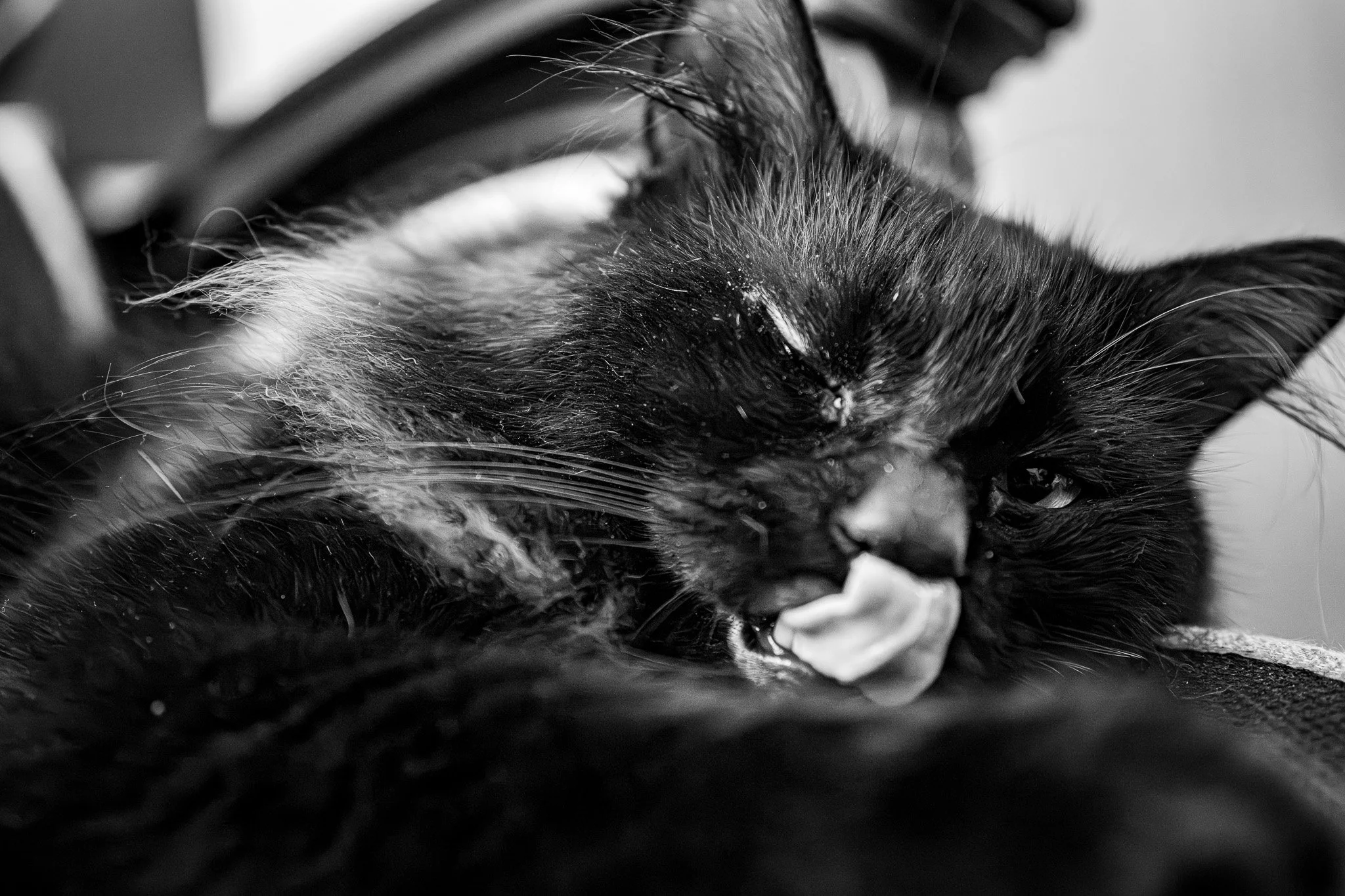 A7R03880.jpg