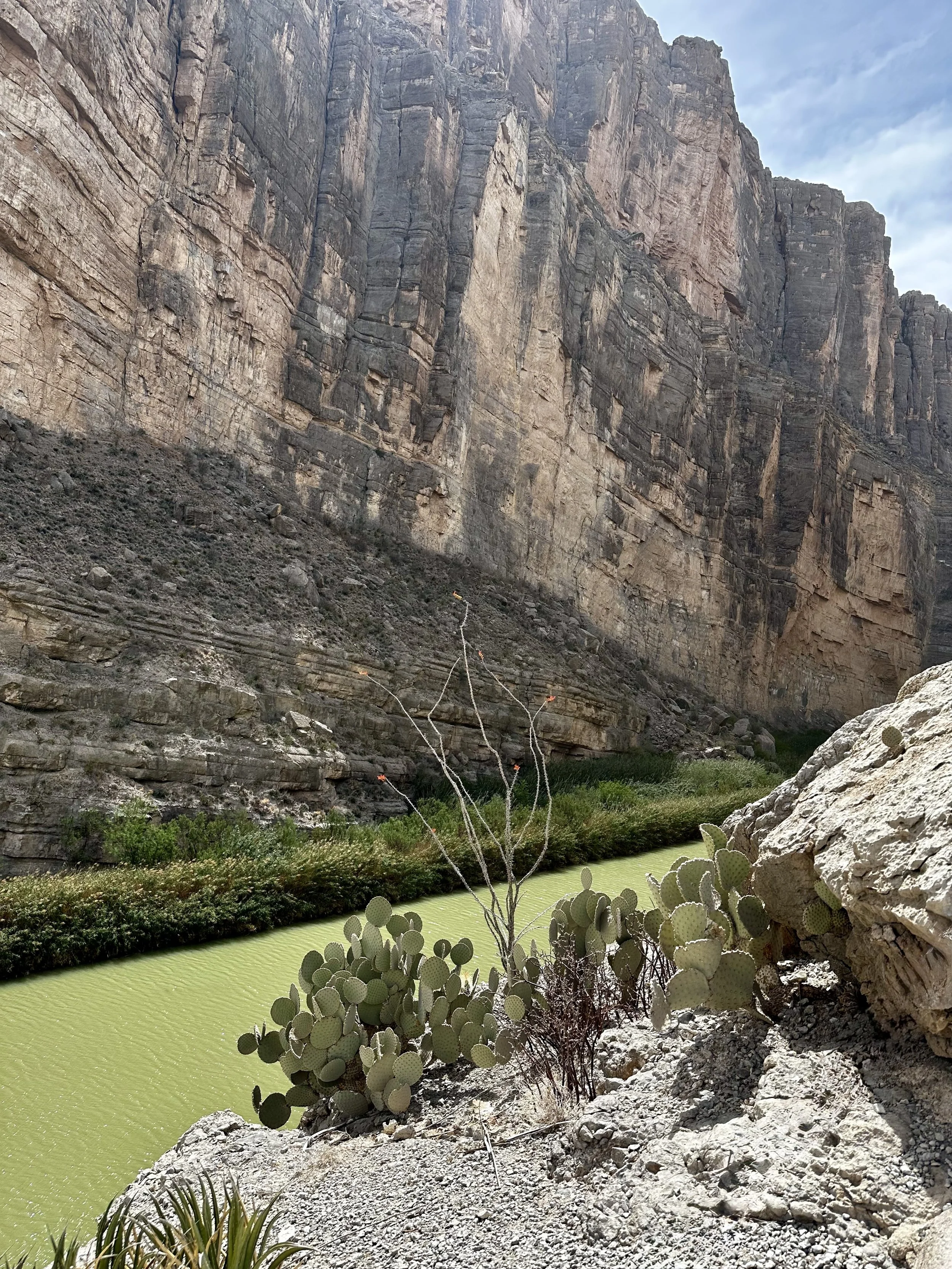 A rocky canyon with steep cliffs and a greenish river or lake at the bottom. Vegetation includes cacti and desert plants. The sky is partly cloudy.