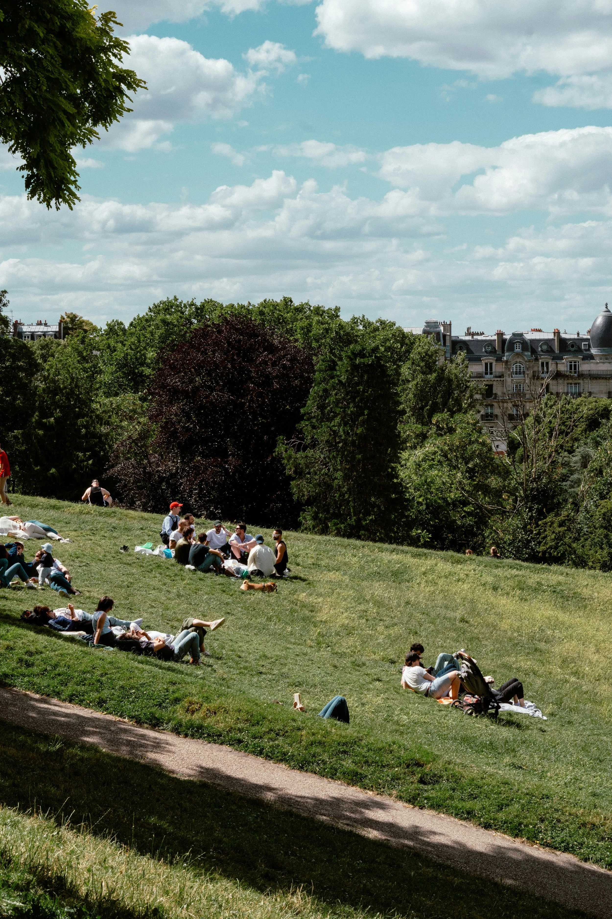 People relaxing and sitting on a grassy hill in a park with trees and a cityscape in the background under a partly cloudy sky.
