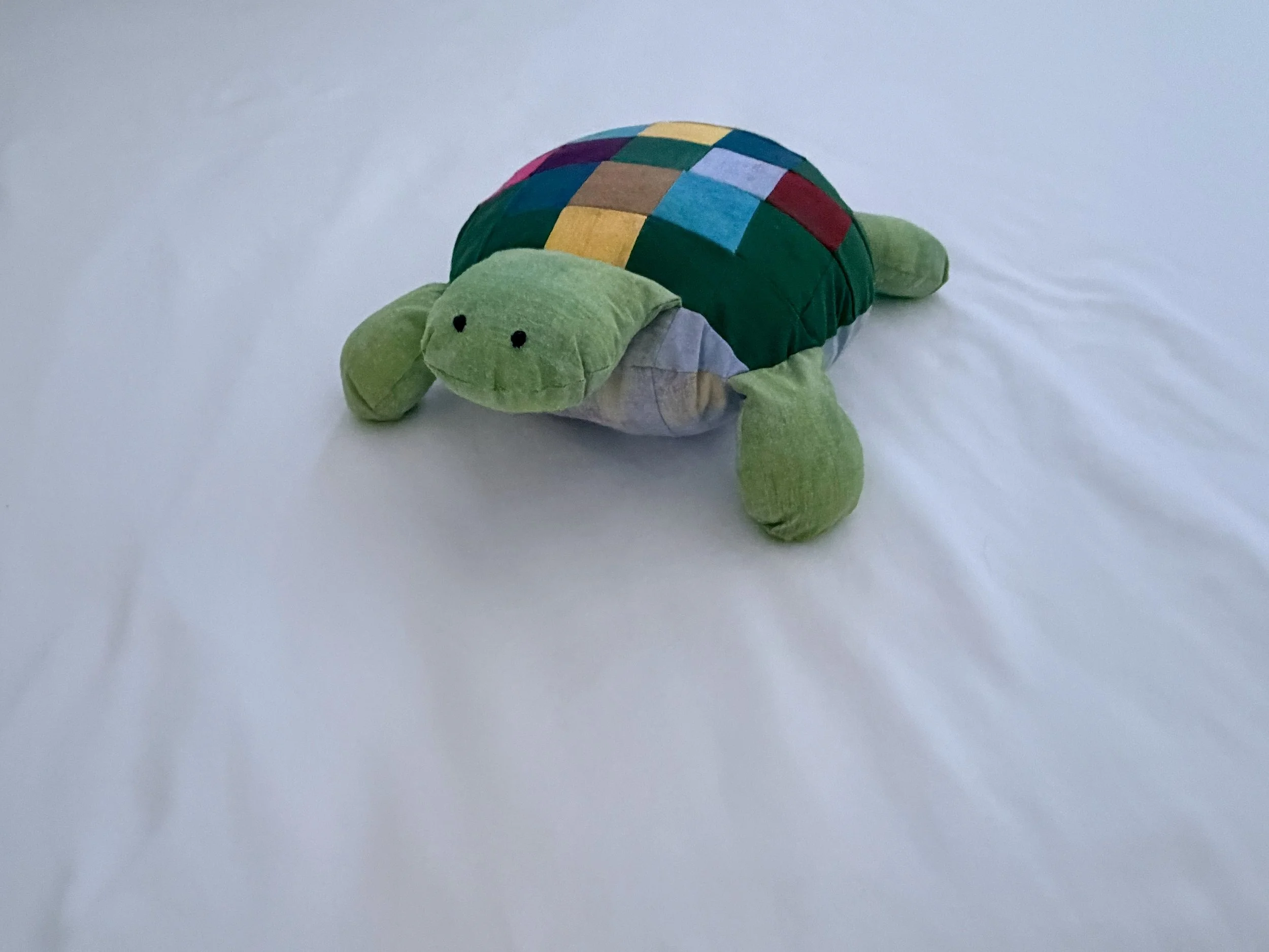 Turbo Turtles Adventures