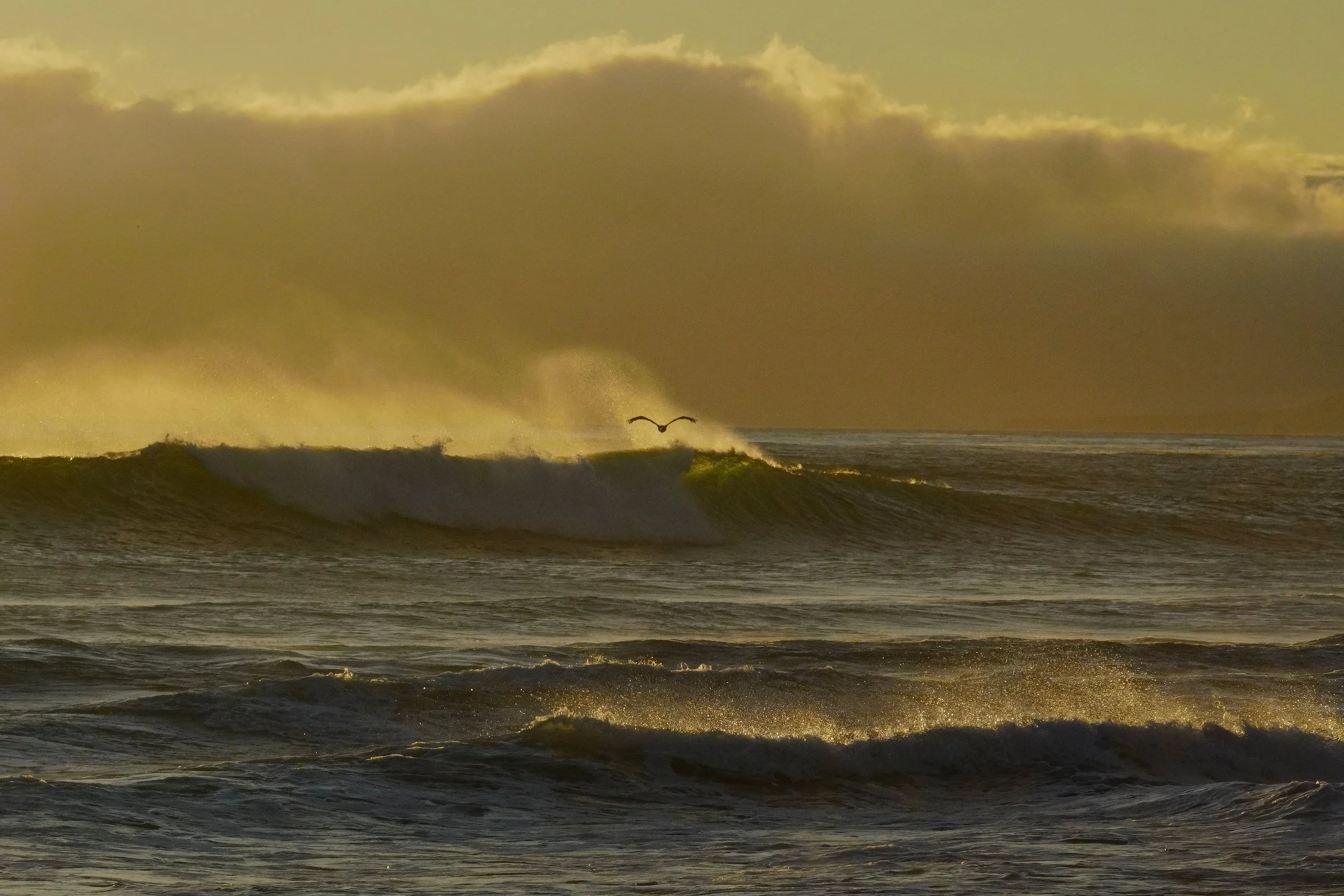 Offshore Gold