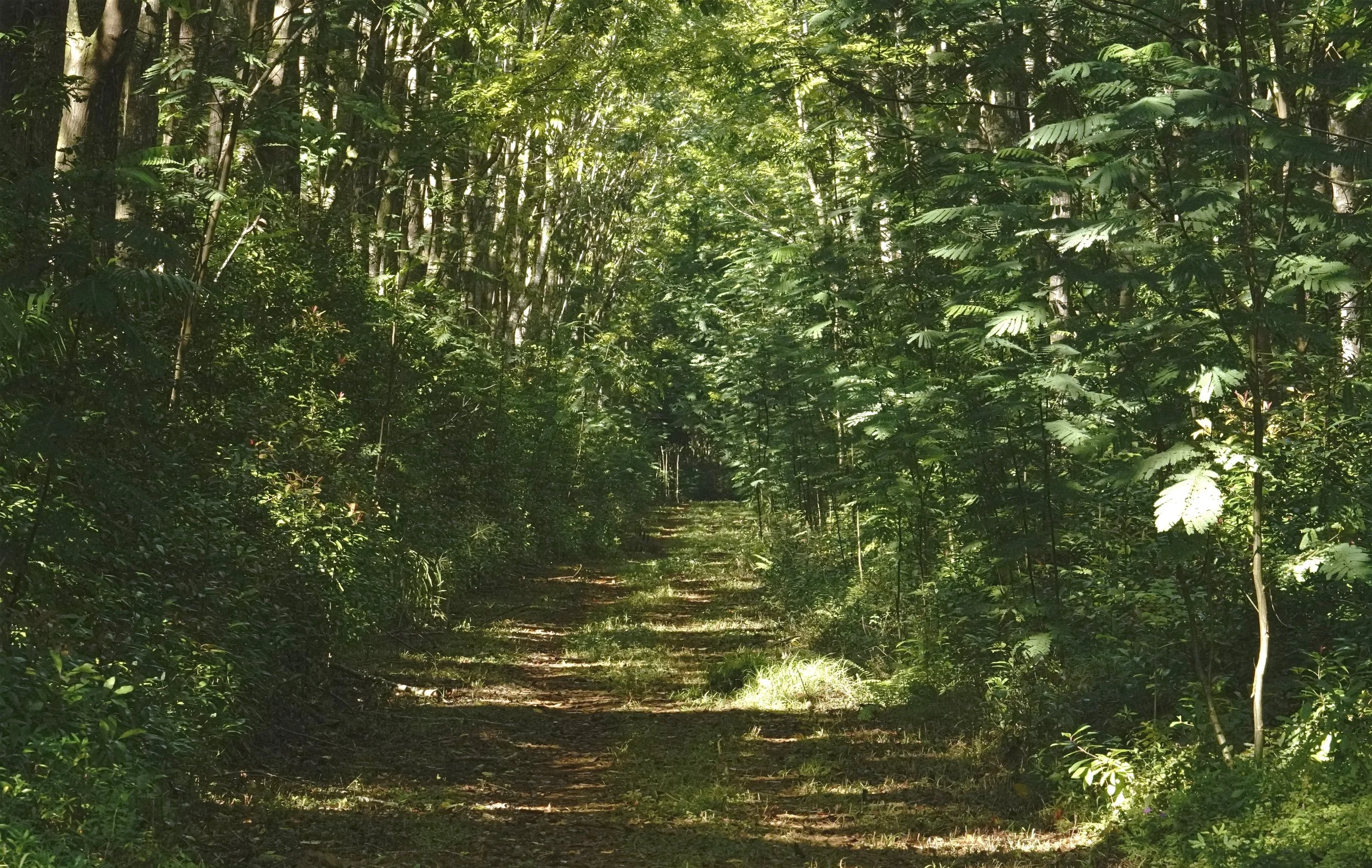 Threshold_web.jpg