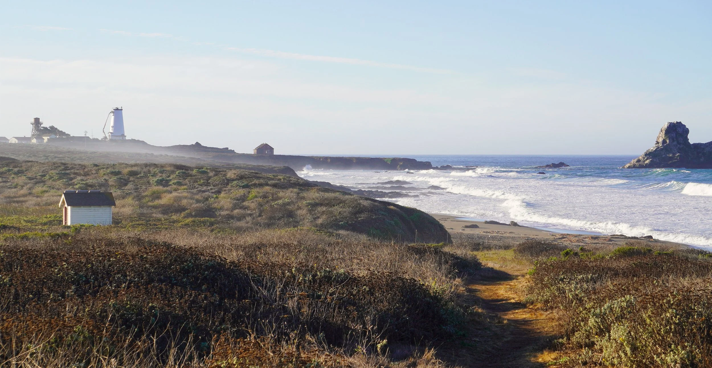 Watcher of the Old Coast
