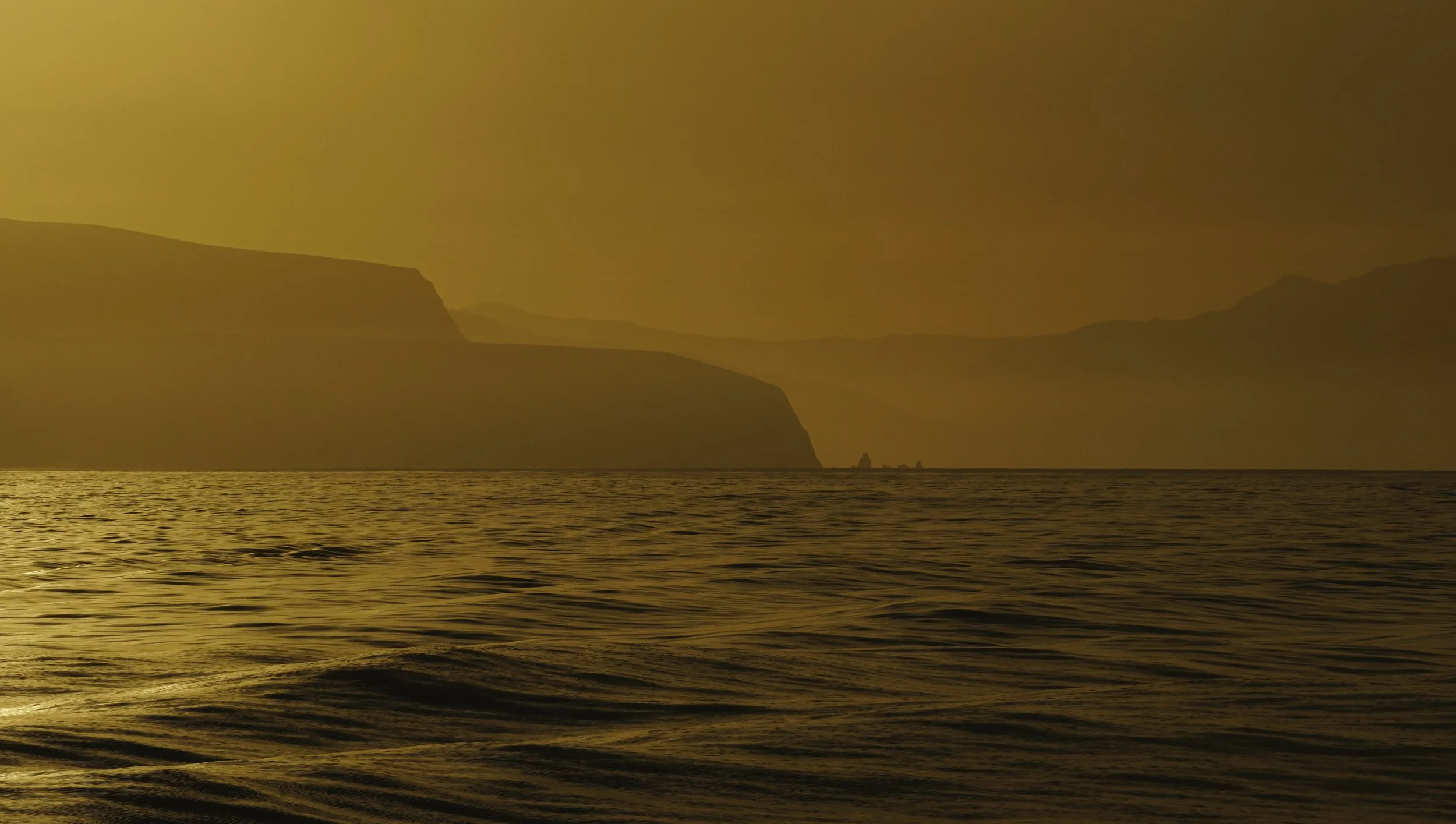 Golden Mist