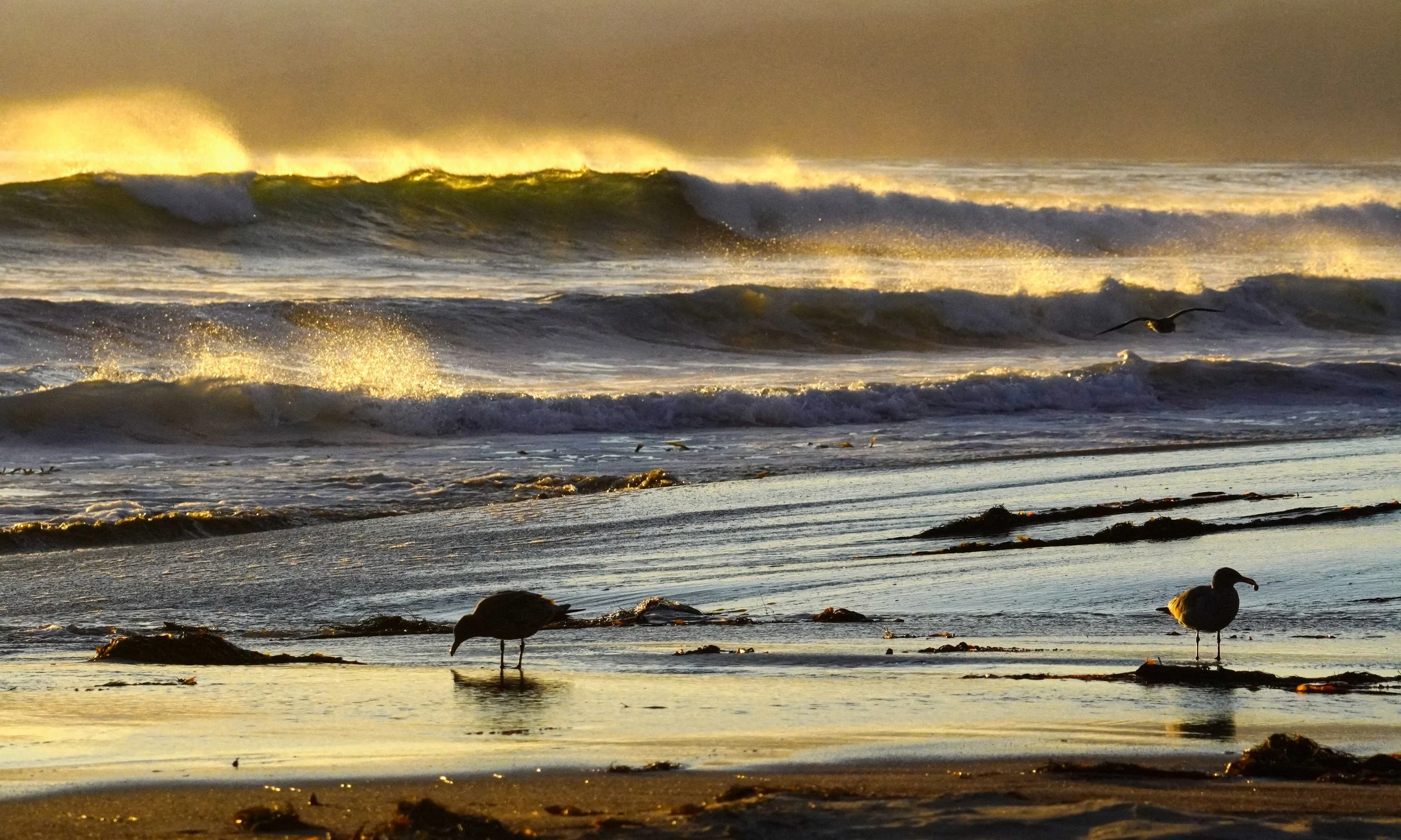 jalama_wave_scene_web.jpg