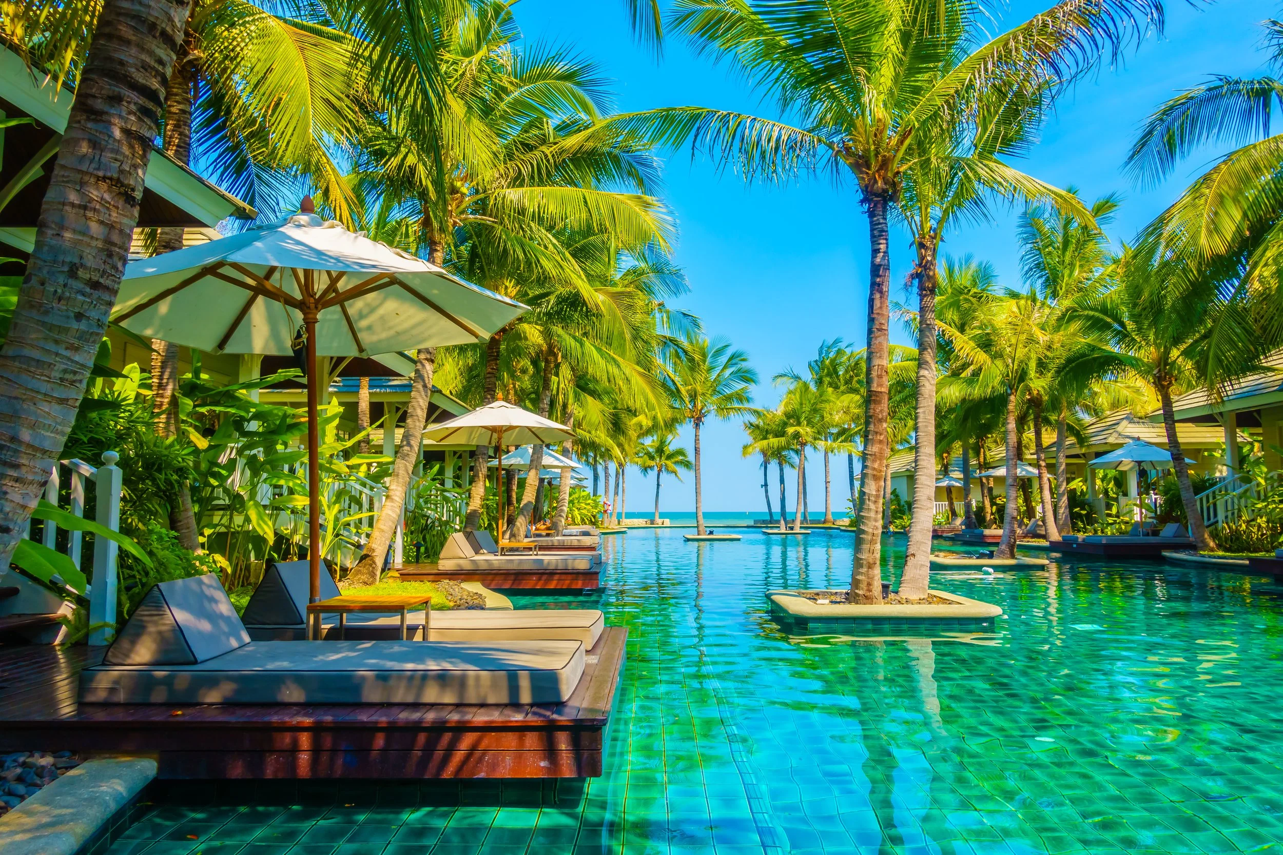 Poolside lounge chairs and umbrellas surrounded by palm trees at a tropical resort with a bright blue sky in the background.