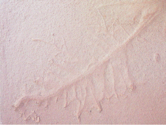 Close-up of a dusty pink wall with a faint, weathered text or signature carved or written into the surface.