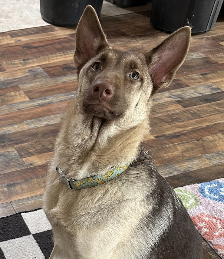 Benny aka 