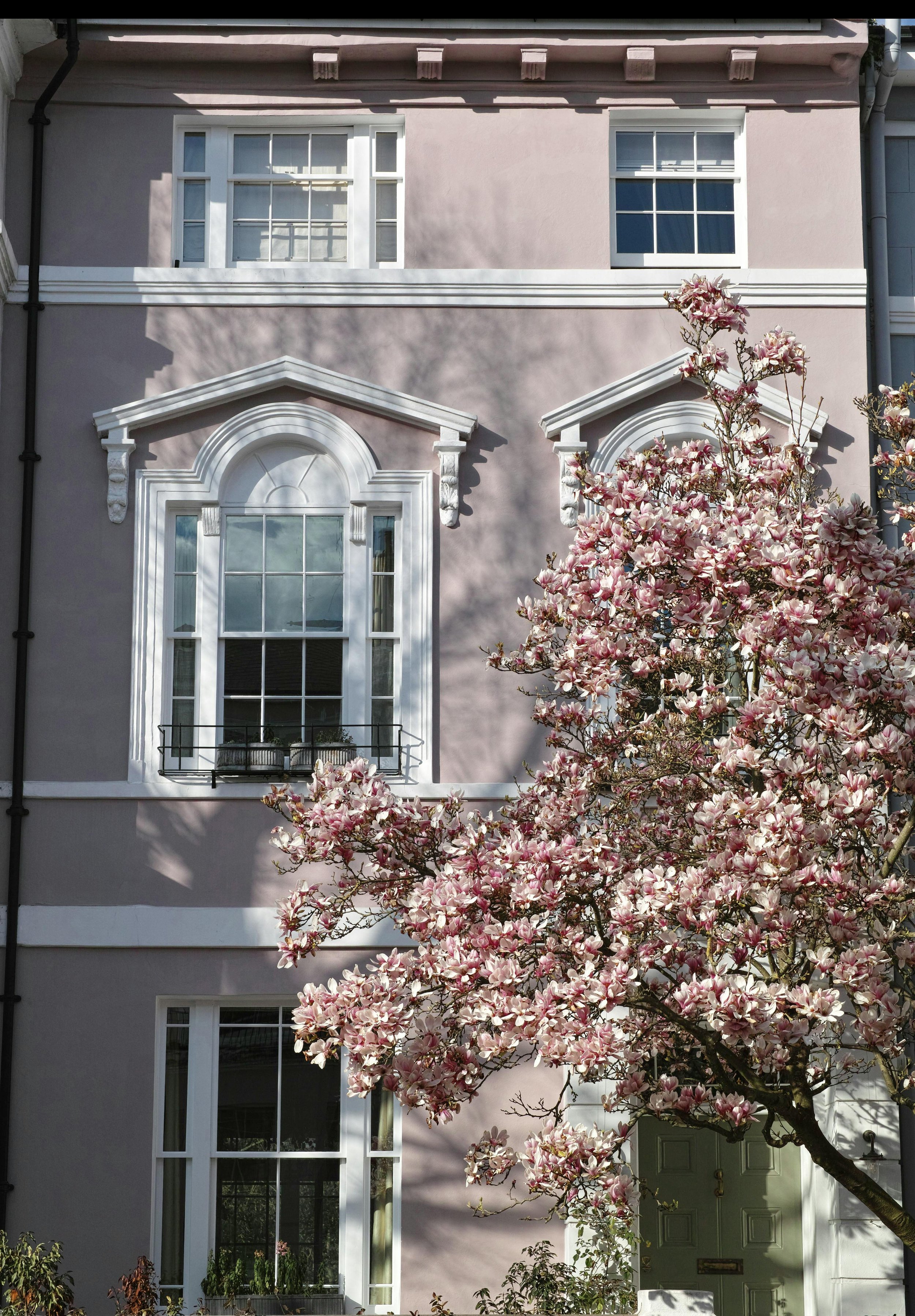 Front of a pink house with large white-trimmed windows and a garage door, with pink and white magnolia tree in bloom in the foreground, and shadows cast on the house.