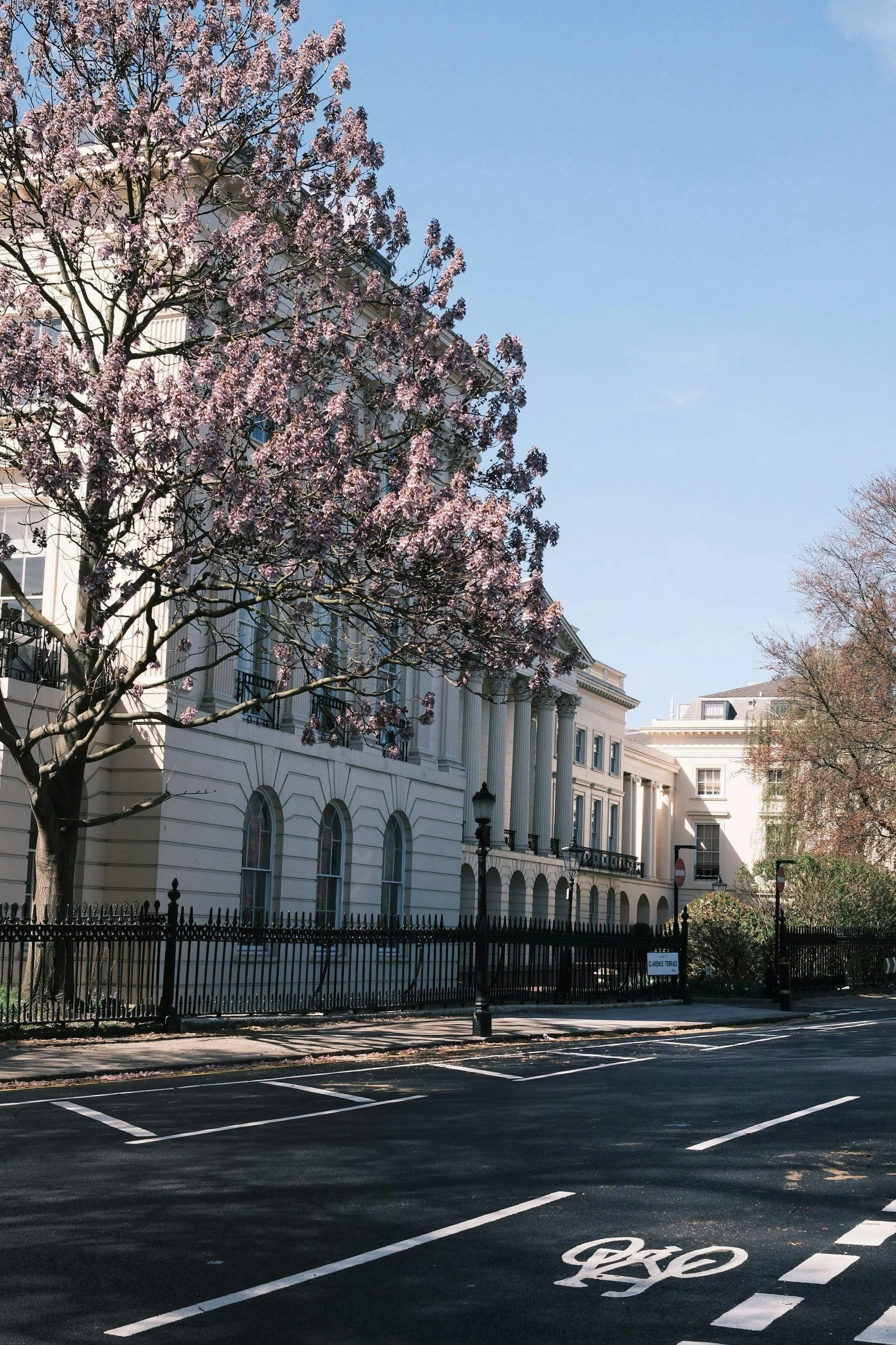 A city street with a parking lot in the foreground and white classical style buildings with arches and columns in the background. There is a pink flowering tree on the left side and another tree without leaves on the right side. The sky is clear and blue.