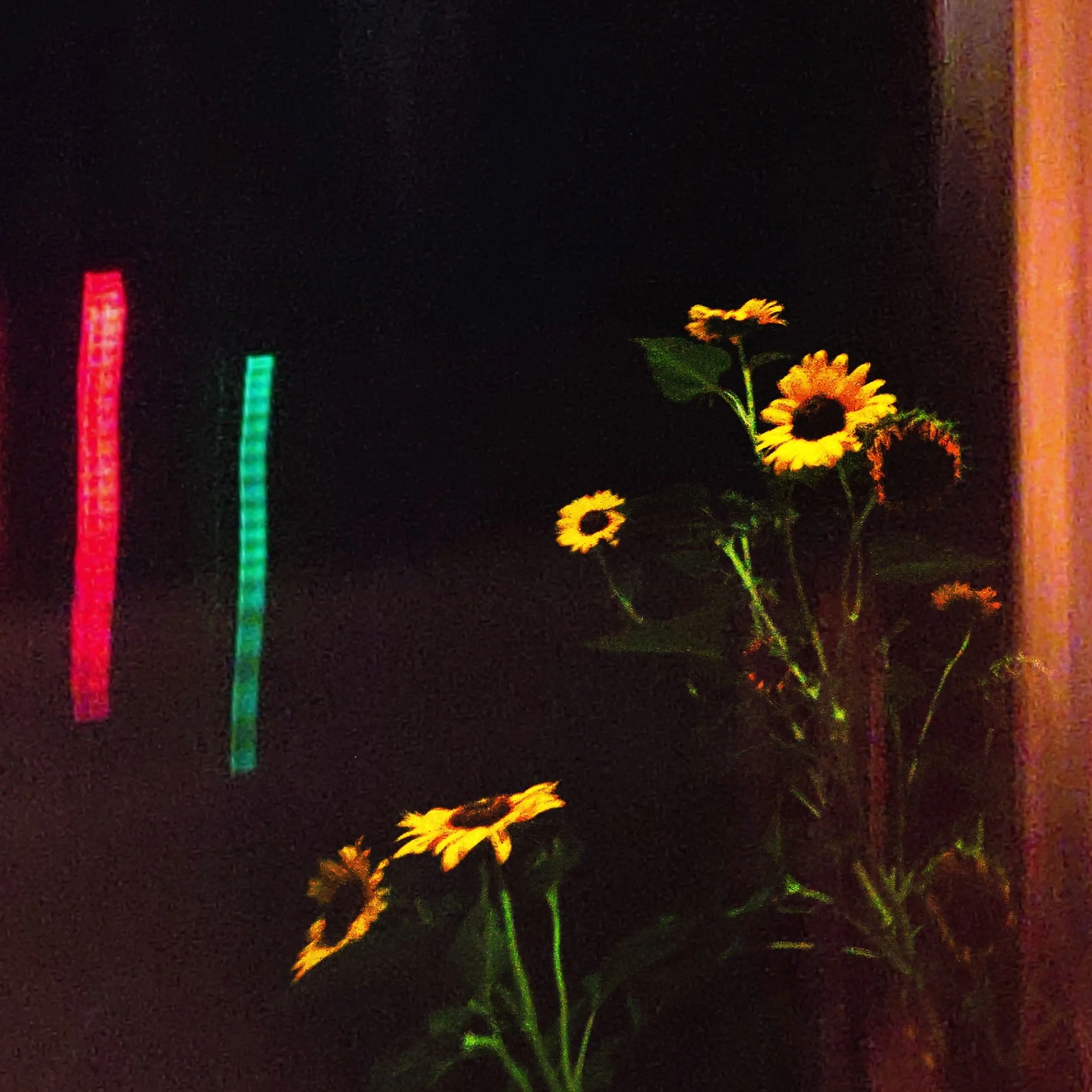 cherokee nights