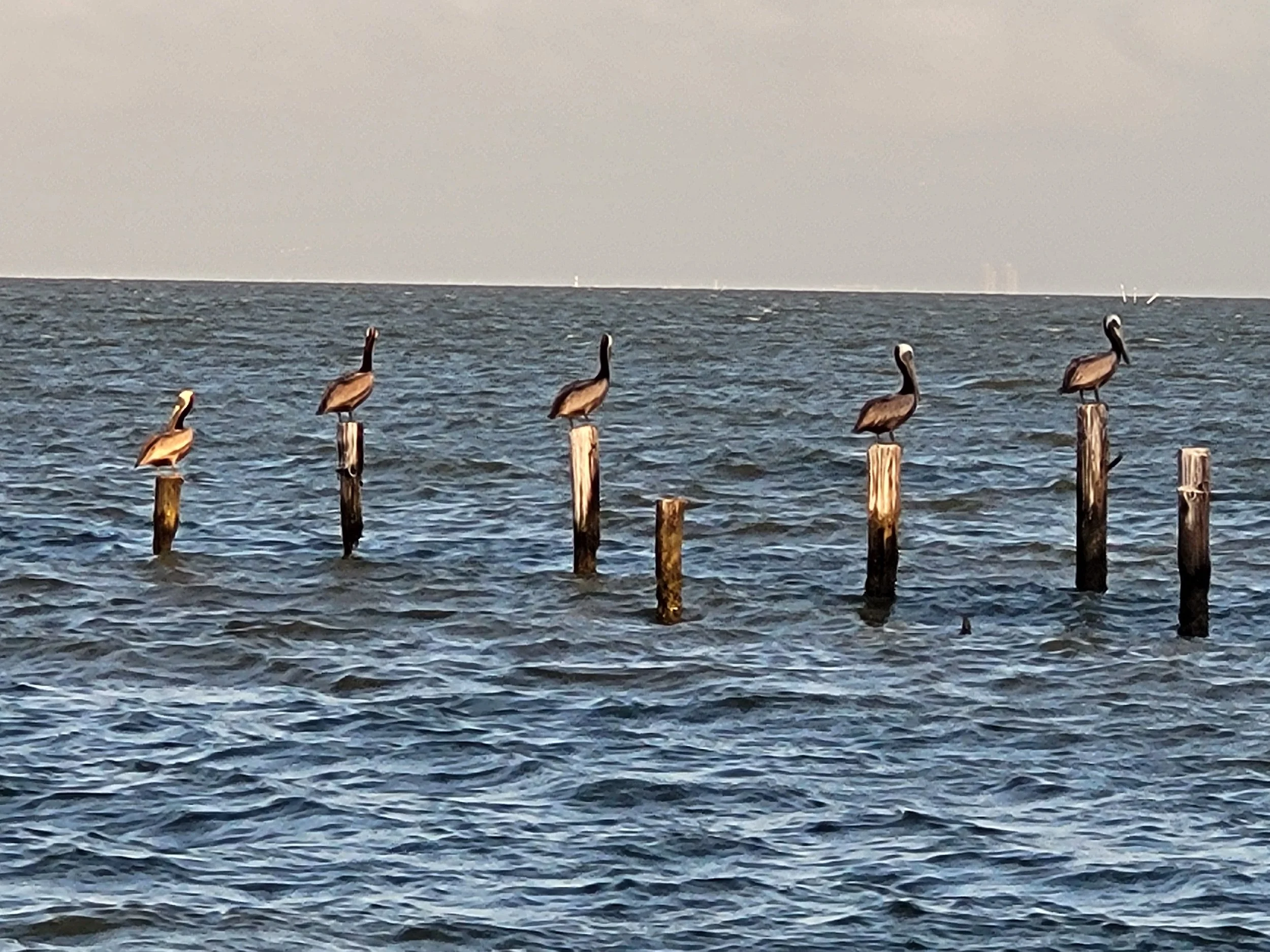 20250607_194016.jpg