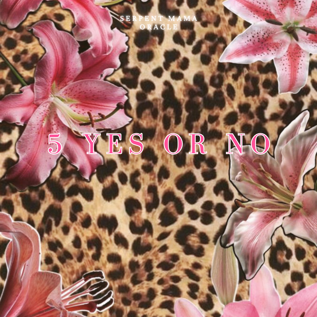 5 Yes or No 🌸