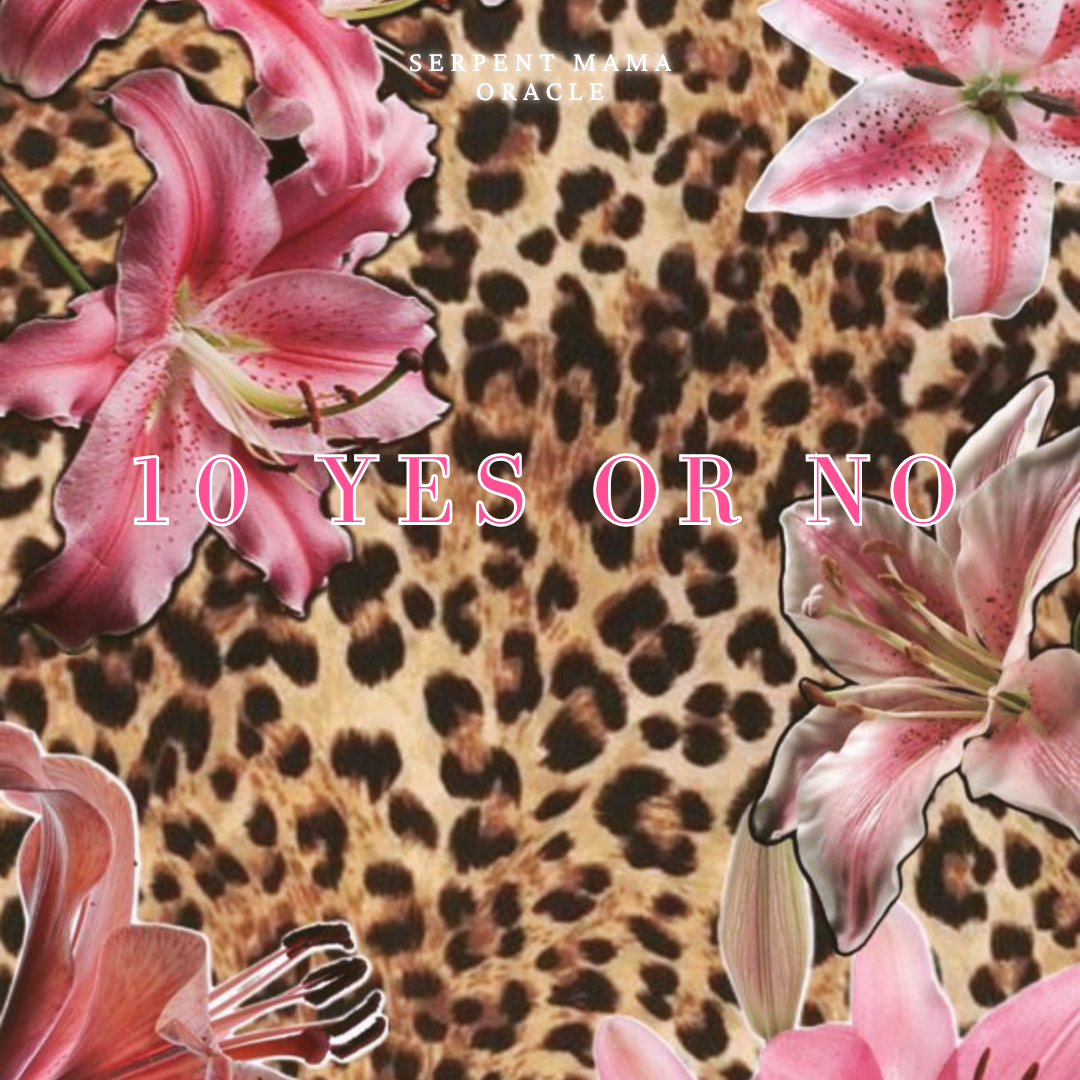 10 Yes or No 🌸