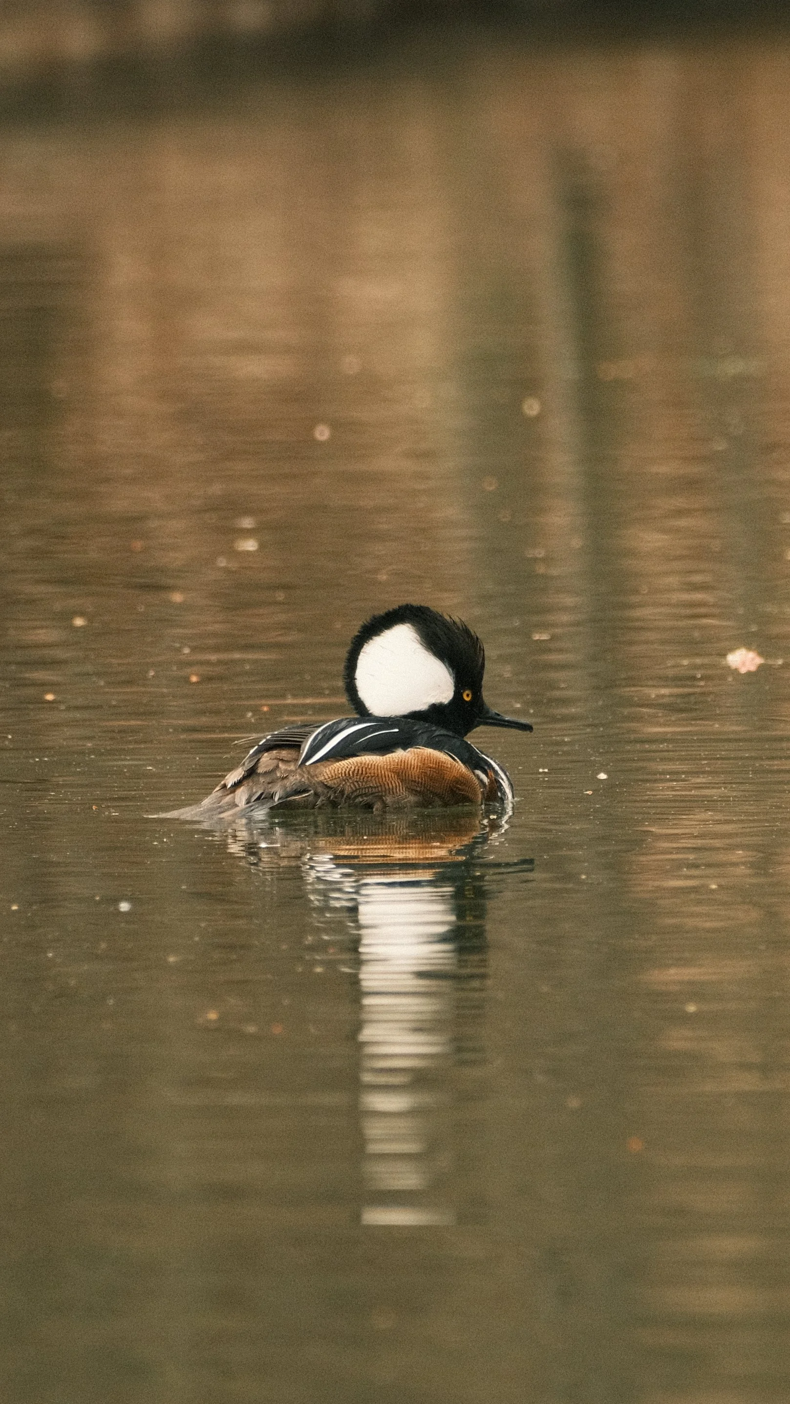 DSCF2979.JPG
