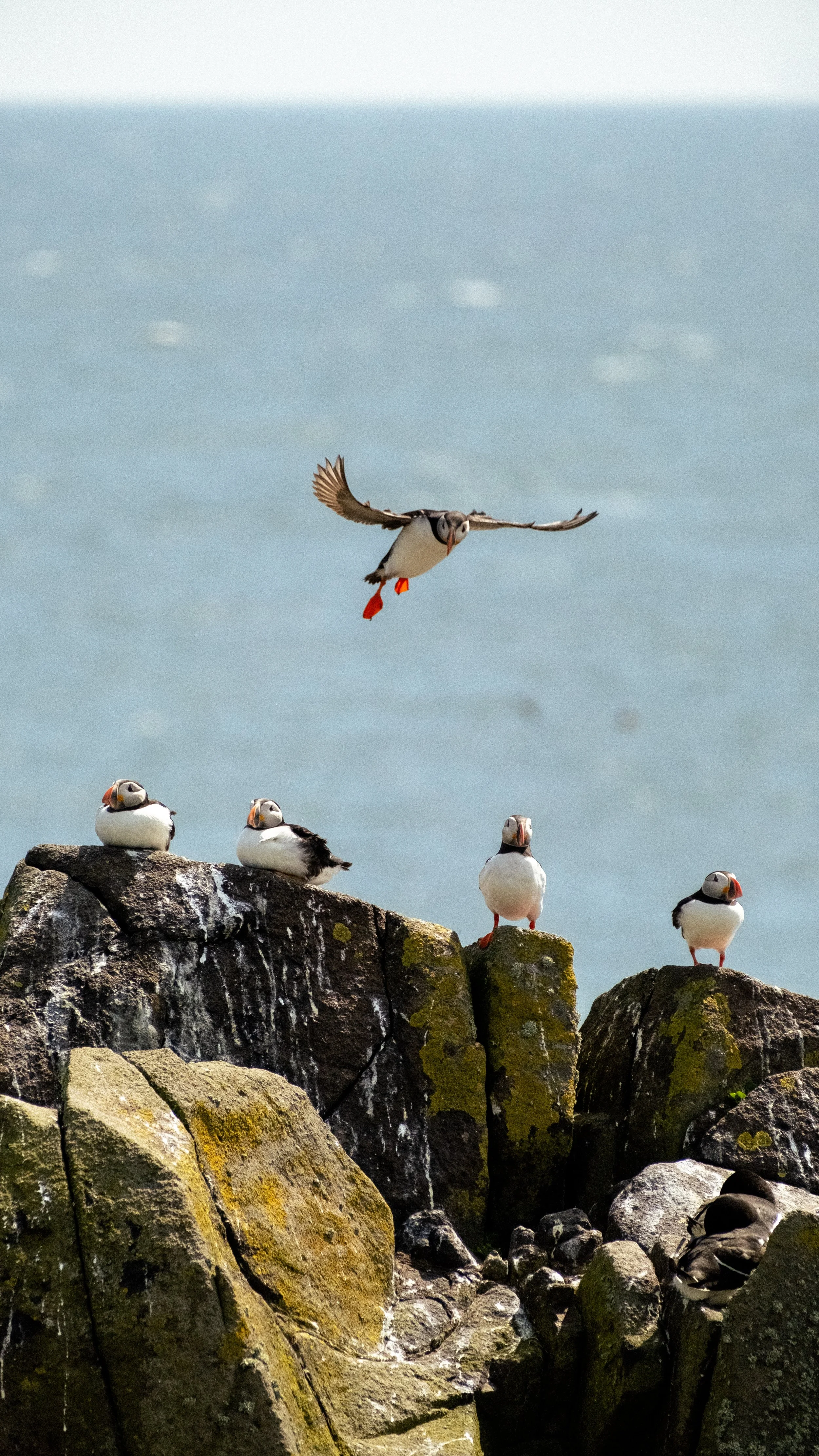 DSCF9893-2.JPG