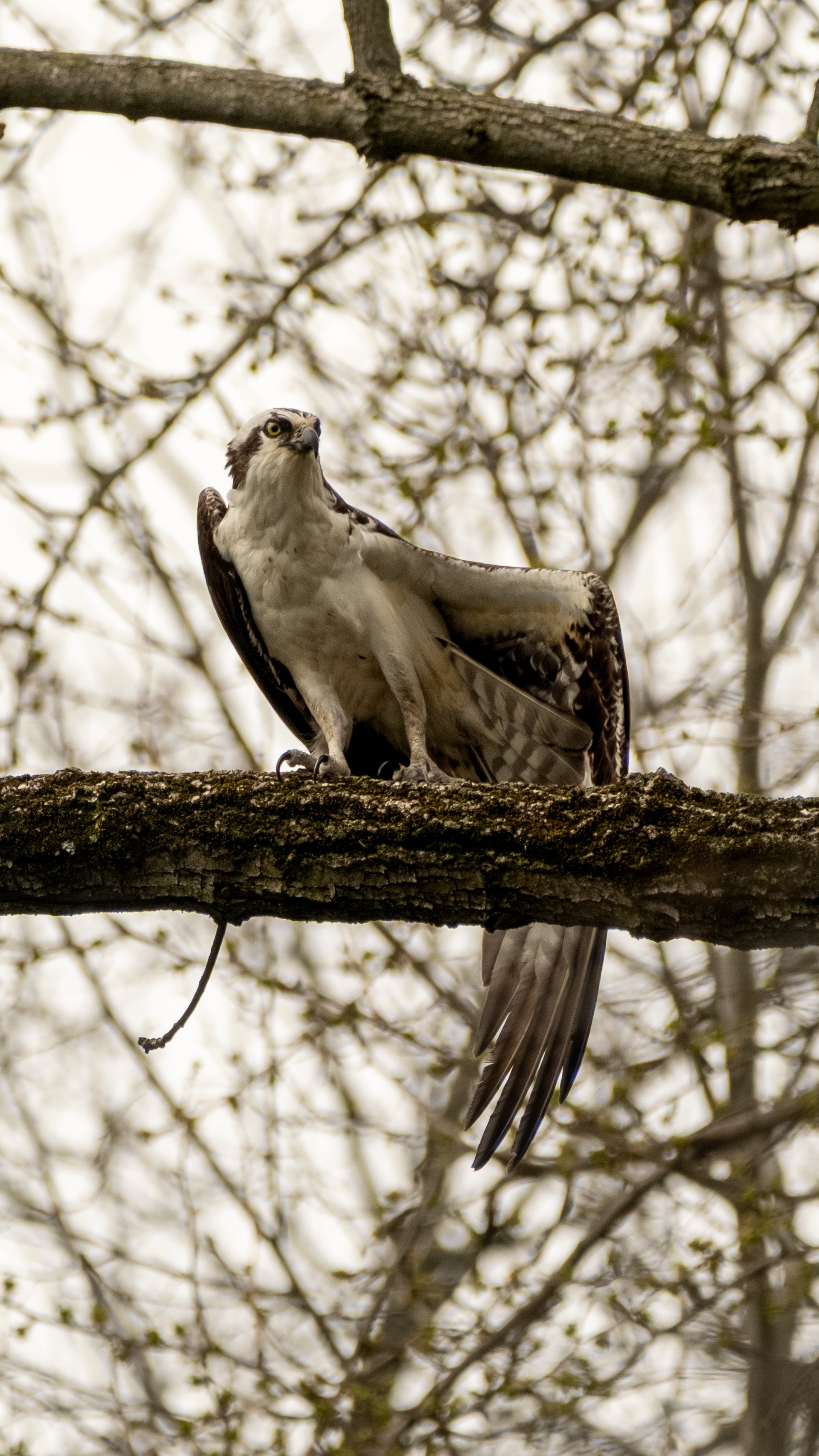 DSCF2393.JPG