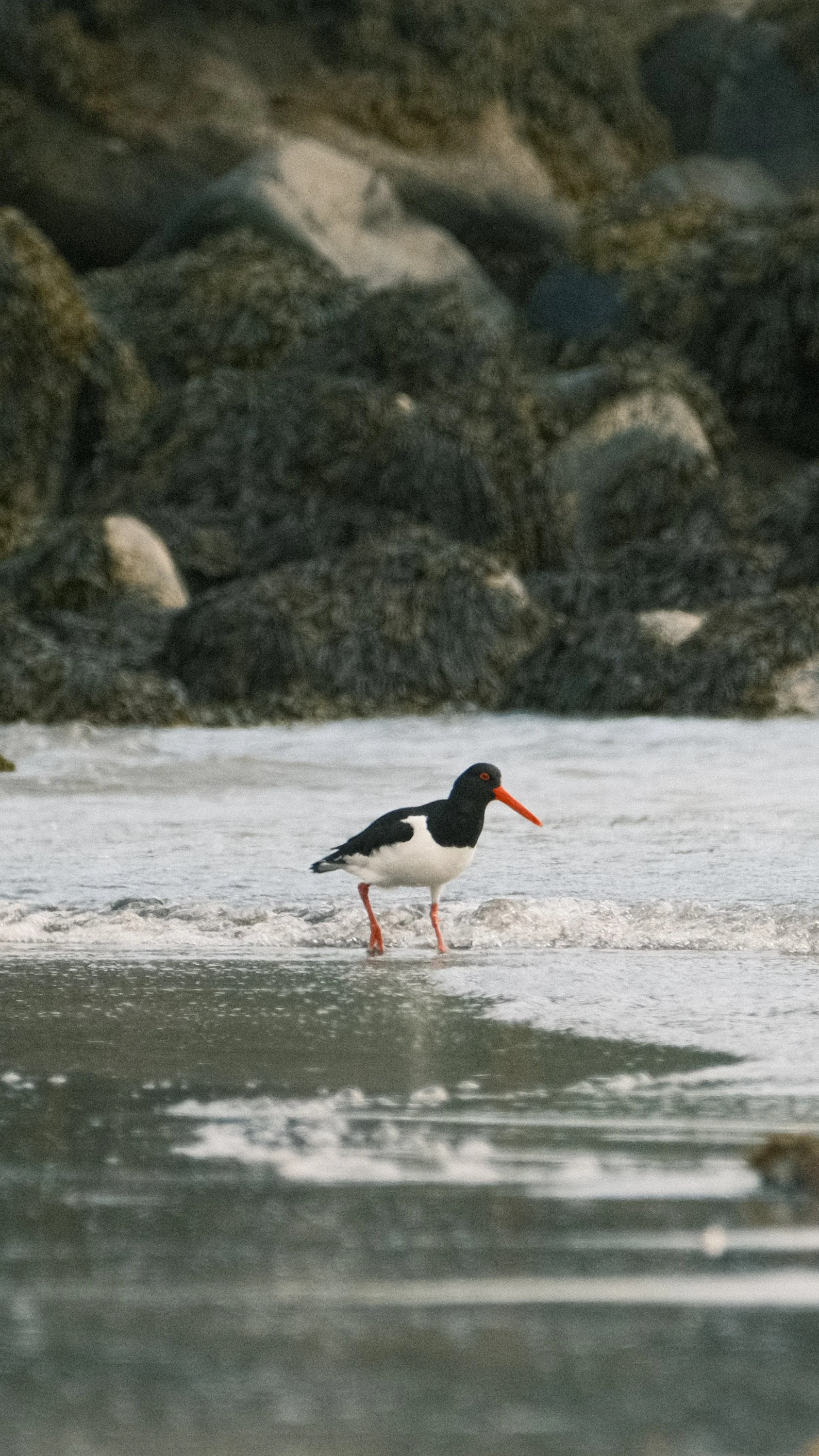 DSCF1078.JPG