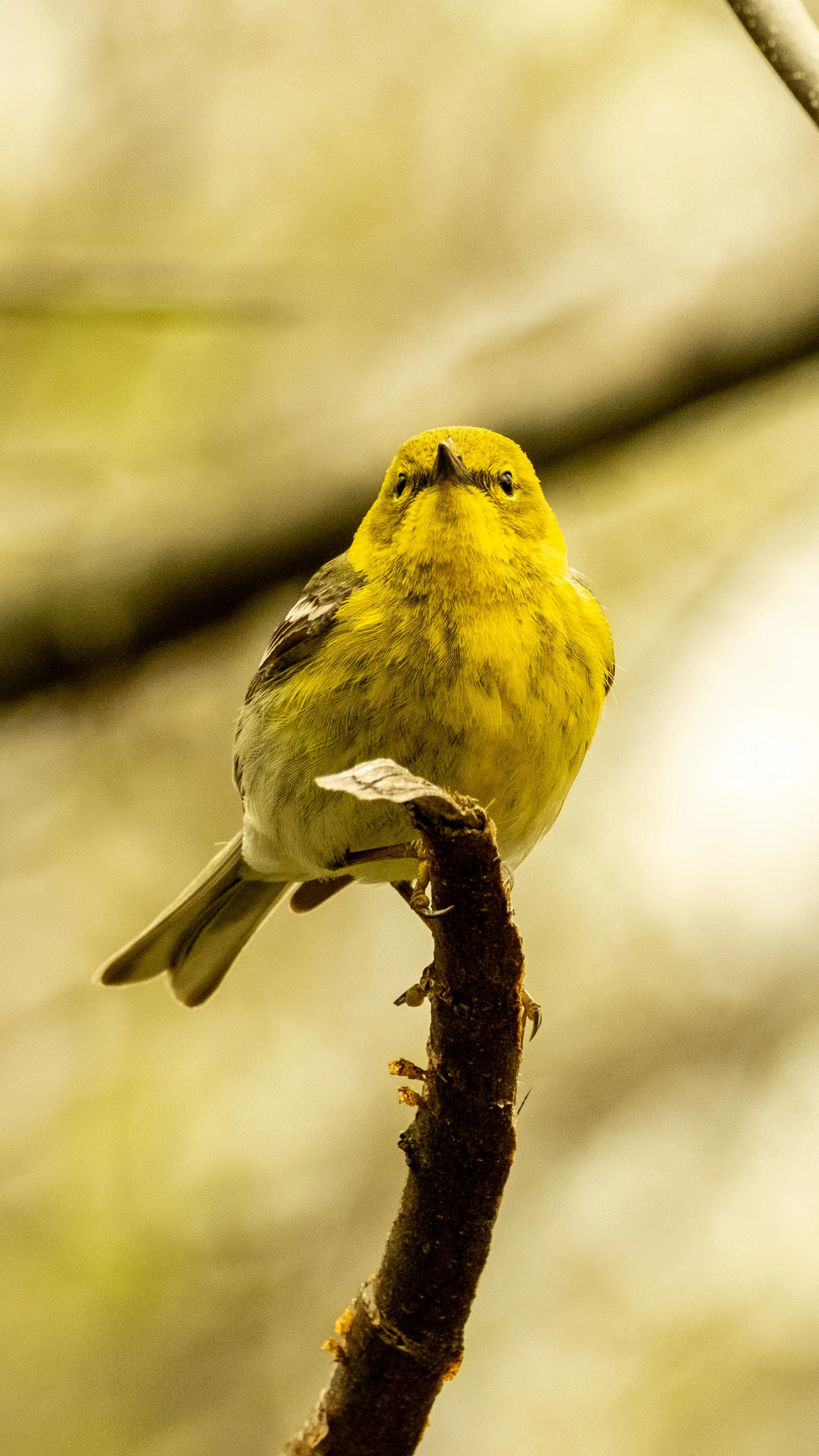 DSCF5683.JPG