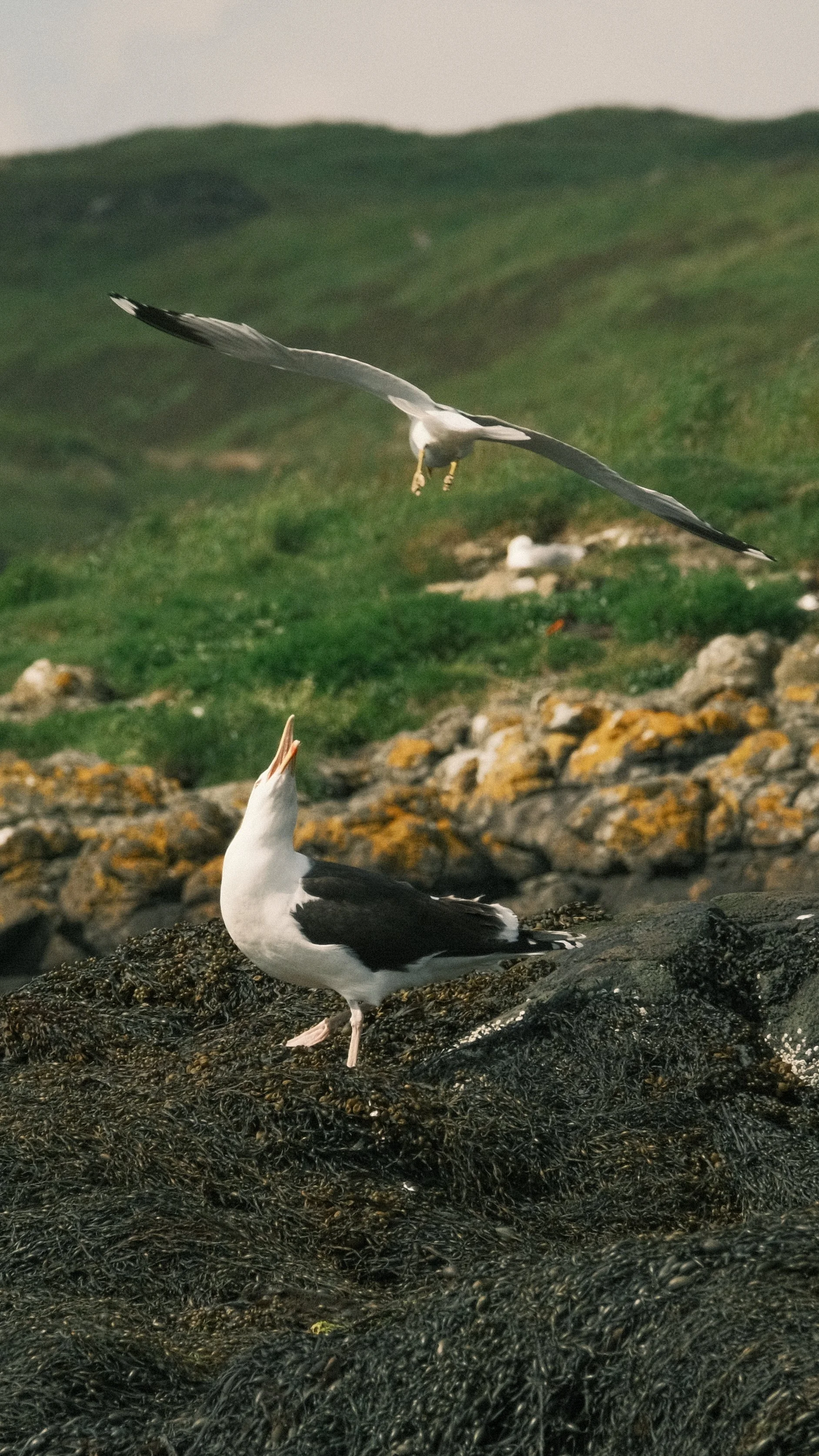 DSCF2091.JPG